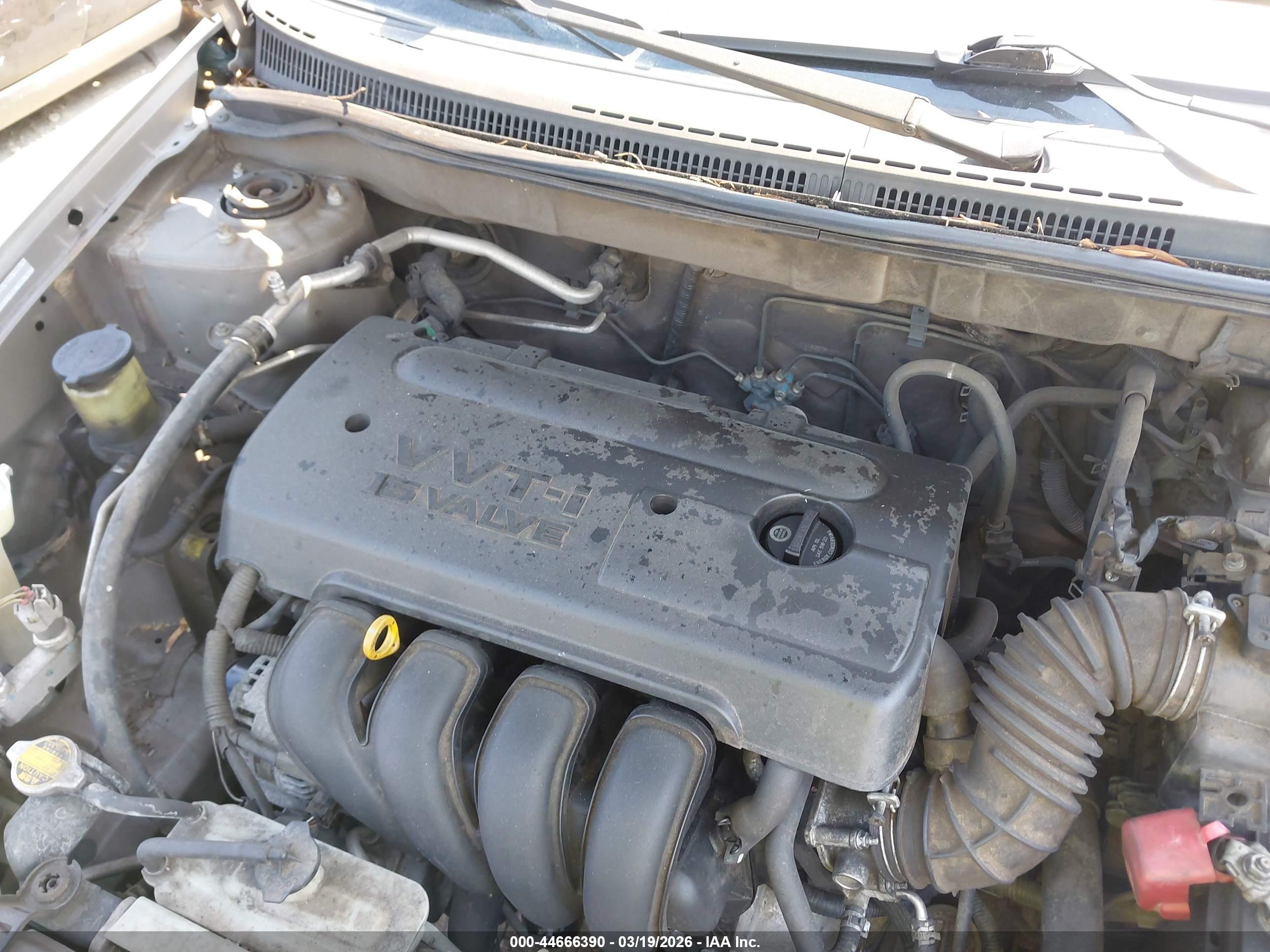 TOYOTA COROLLA image 10
