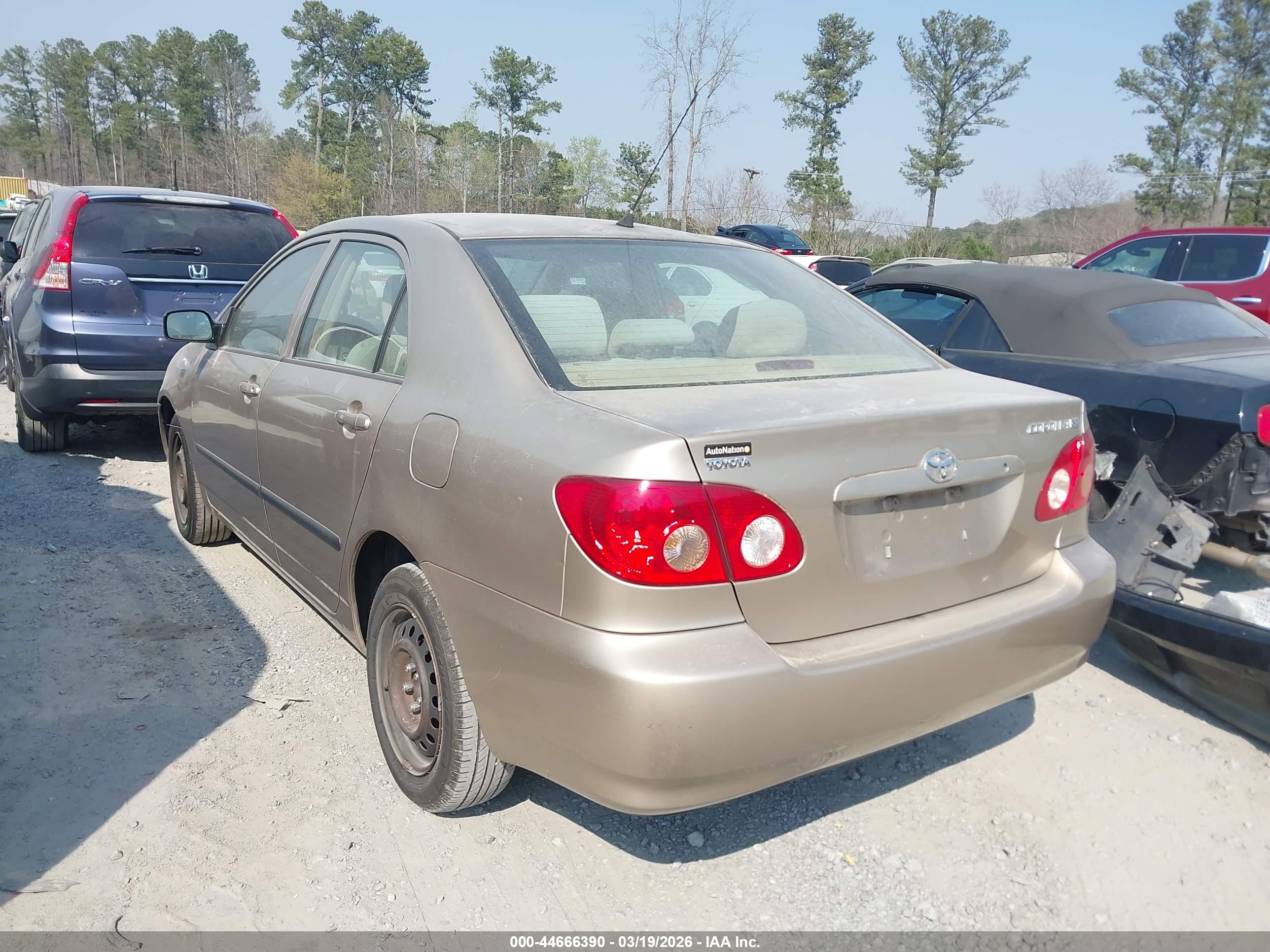 TOYOTA COROLLA image 3