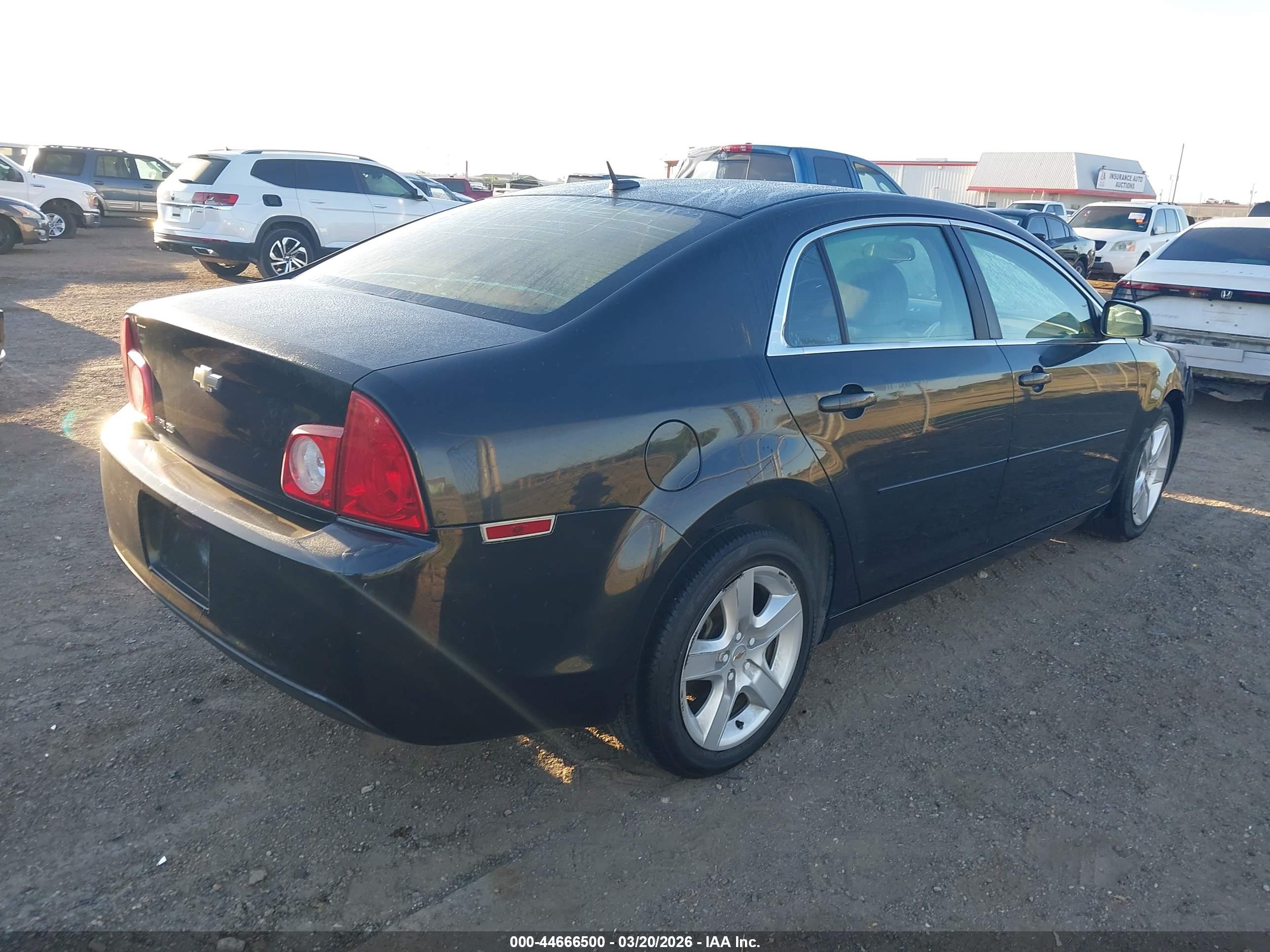 CHEVROLET MALIBU image 4
