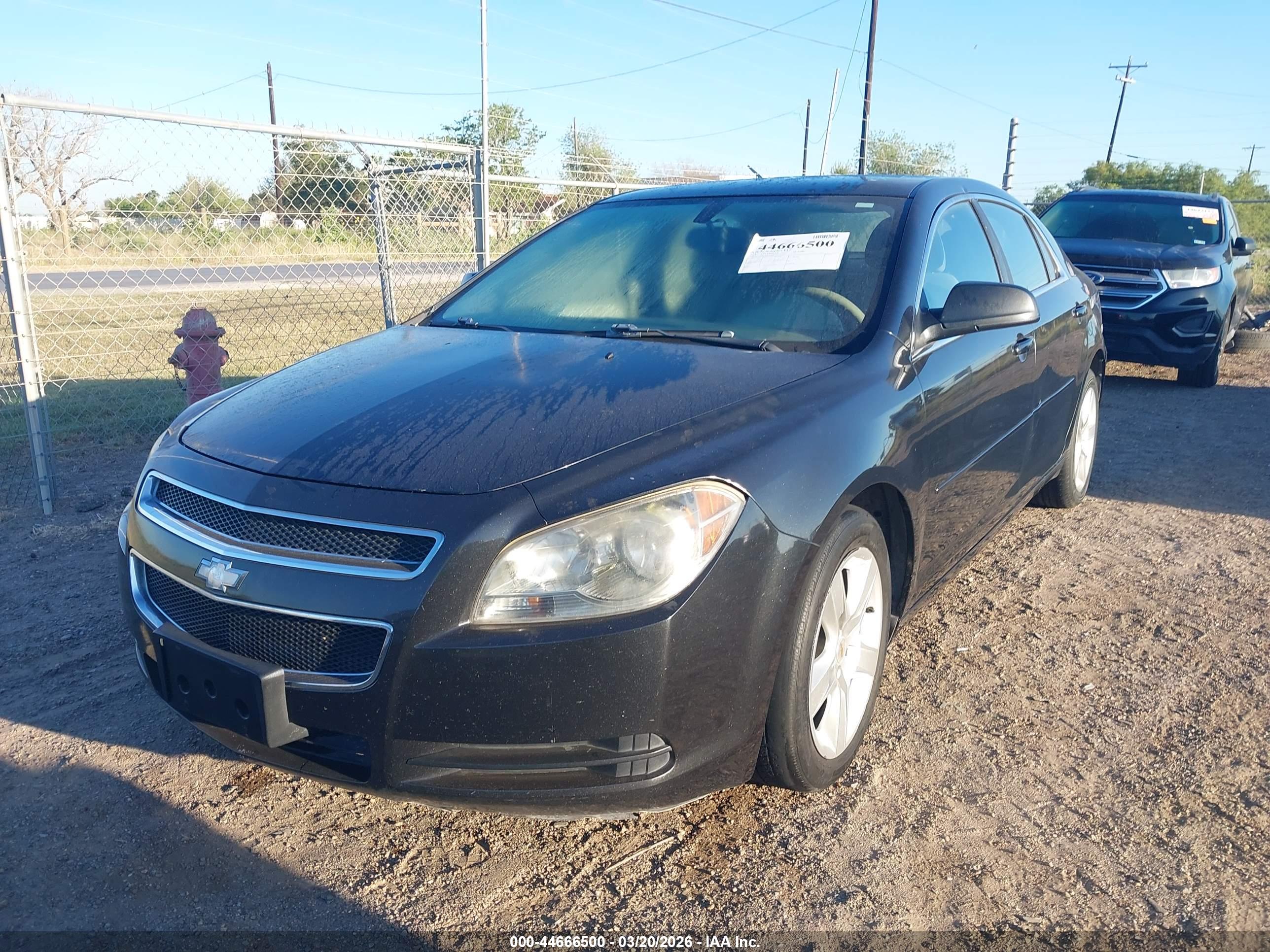 CHEVROLET MALIBU image 6