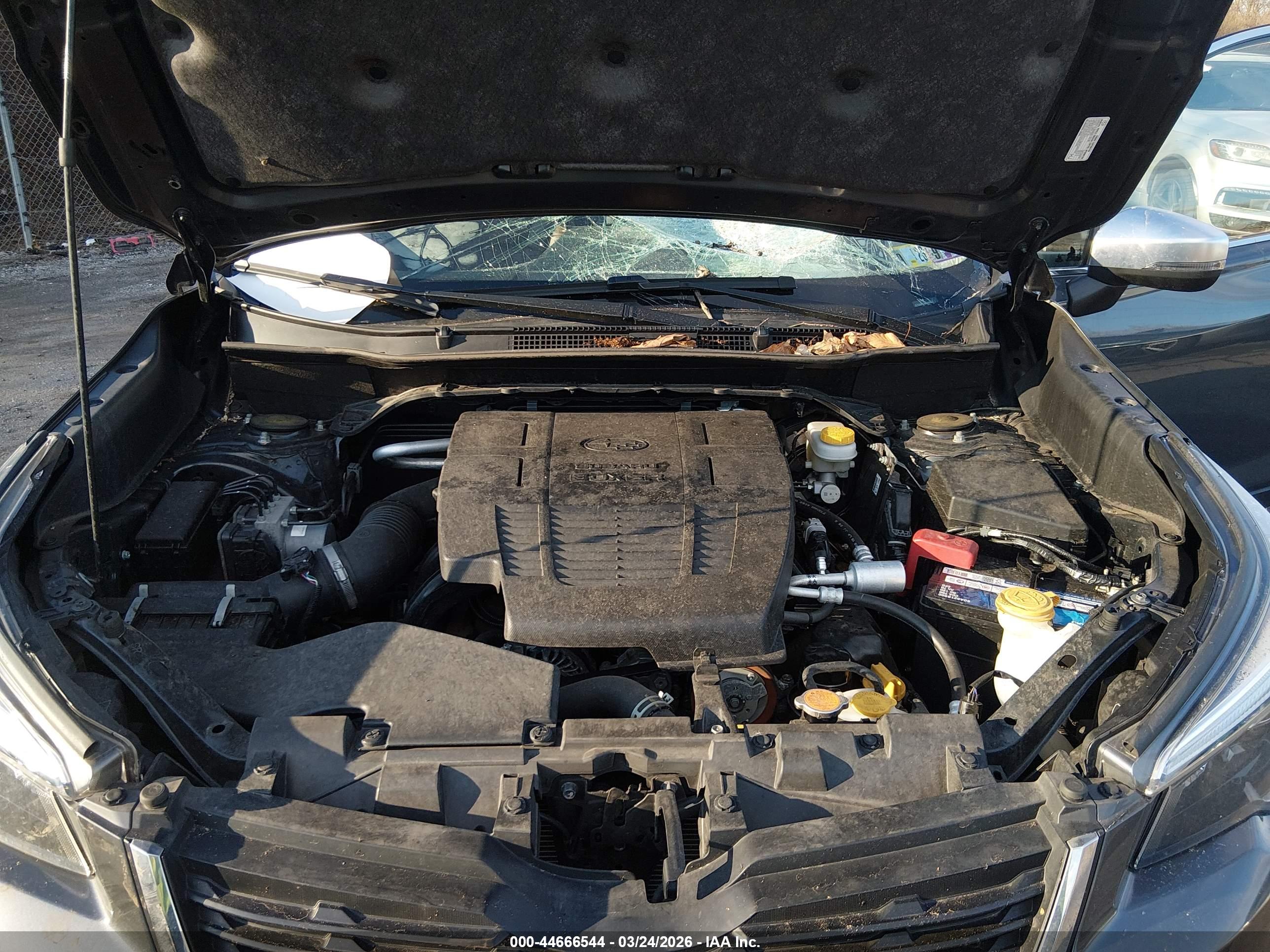 SUBARU FORESTER image 10