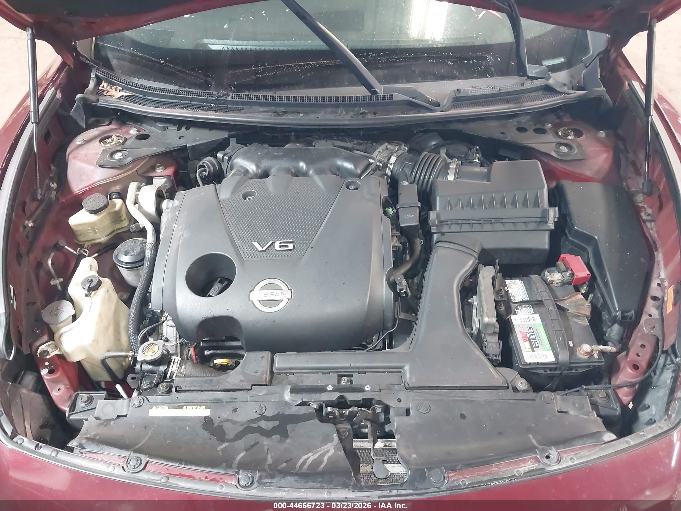 NISSAN MAXIMA image 10