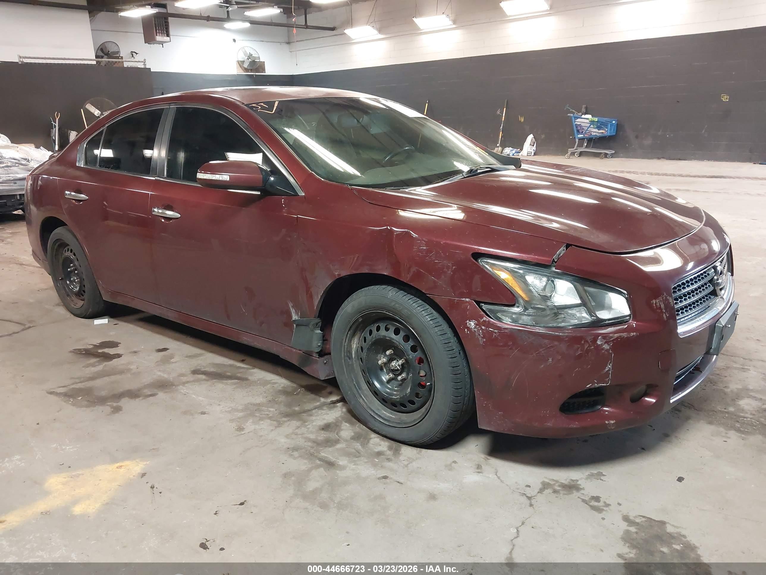 NISSAN MAXIMA image 6