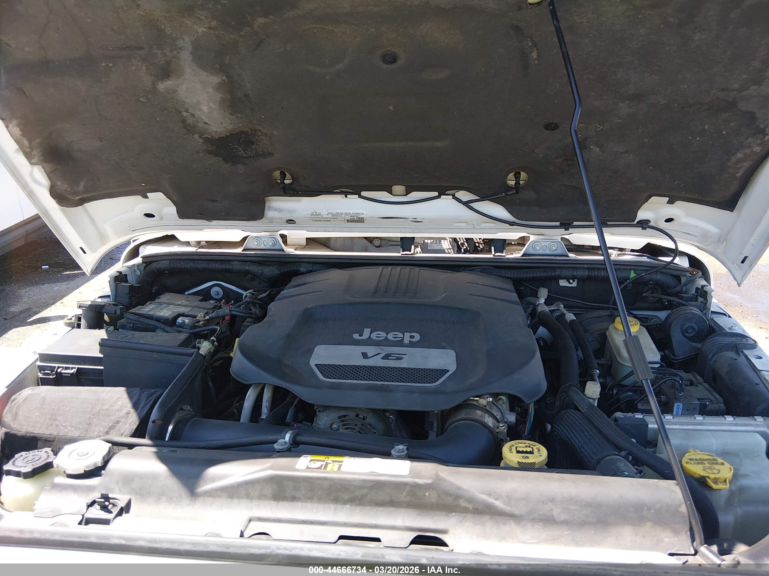 JEEP WRANGLER image 10