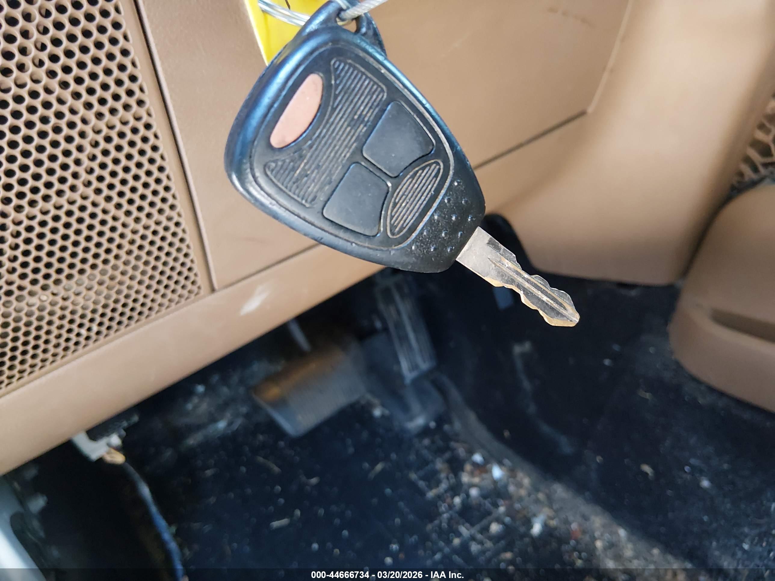 JEEP WRANGLER image 11