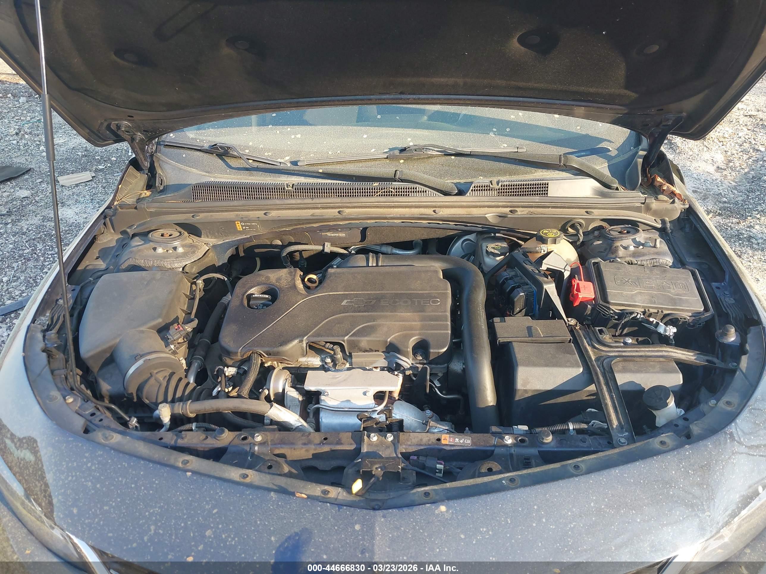 CHEVROLET MALIBU image 10