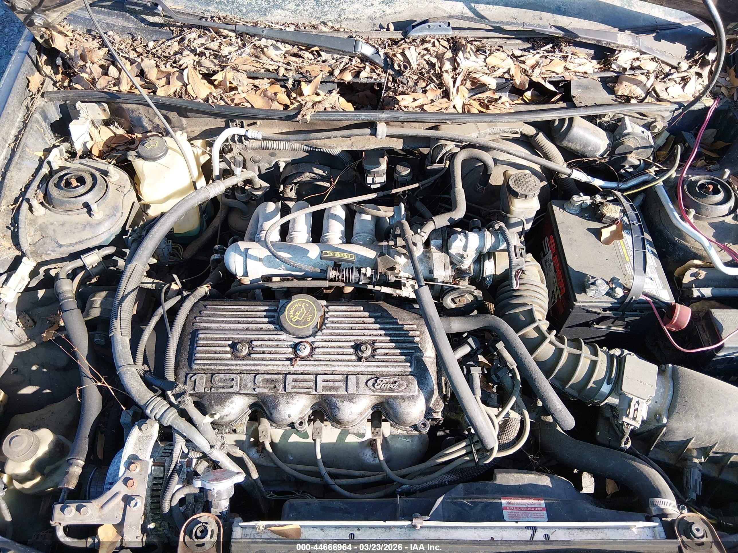 FORD ESCORT image 10