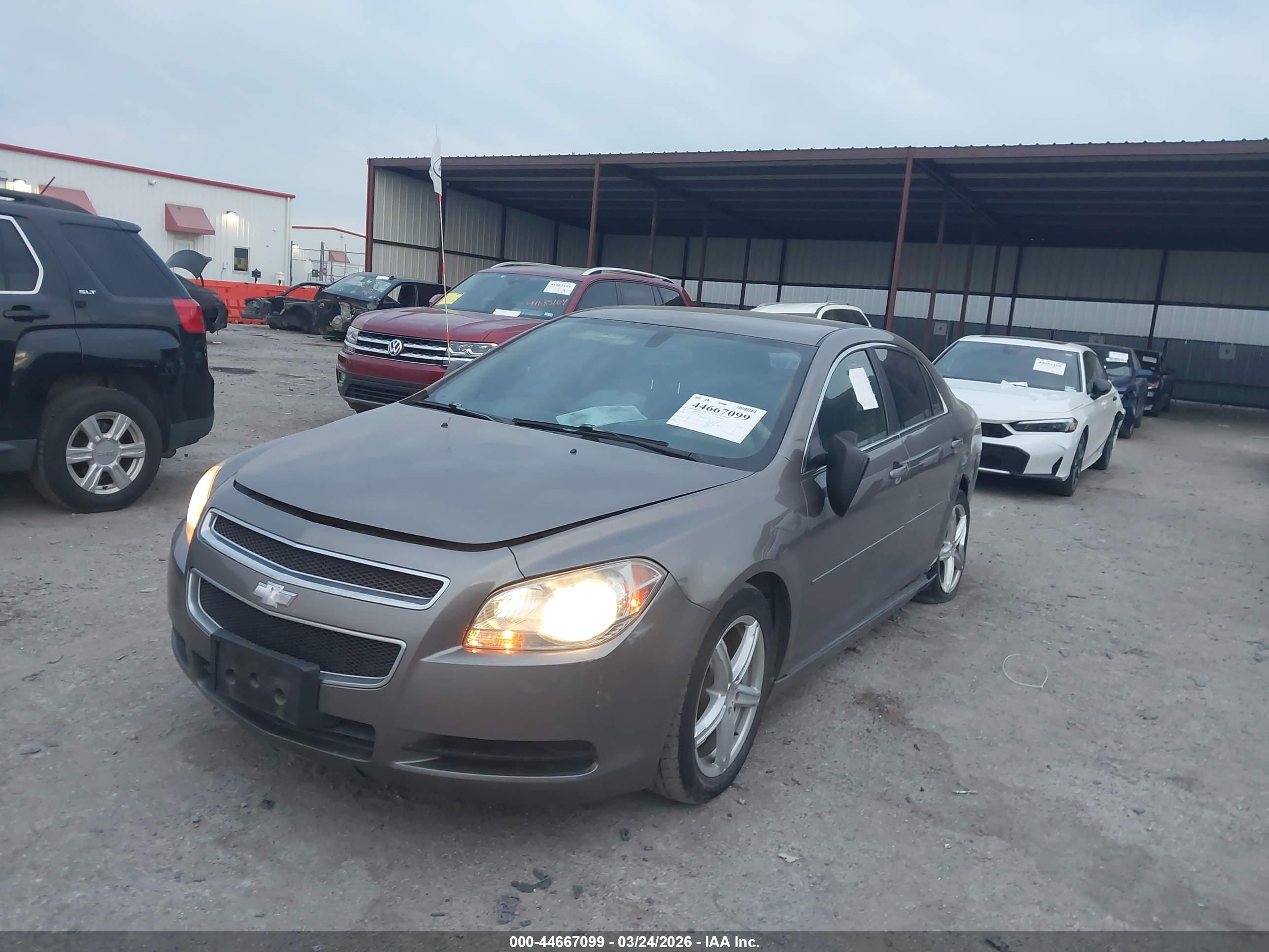 CHEVROLET MALIBU image 2