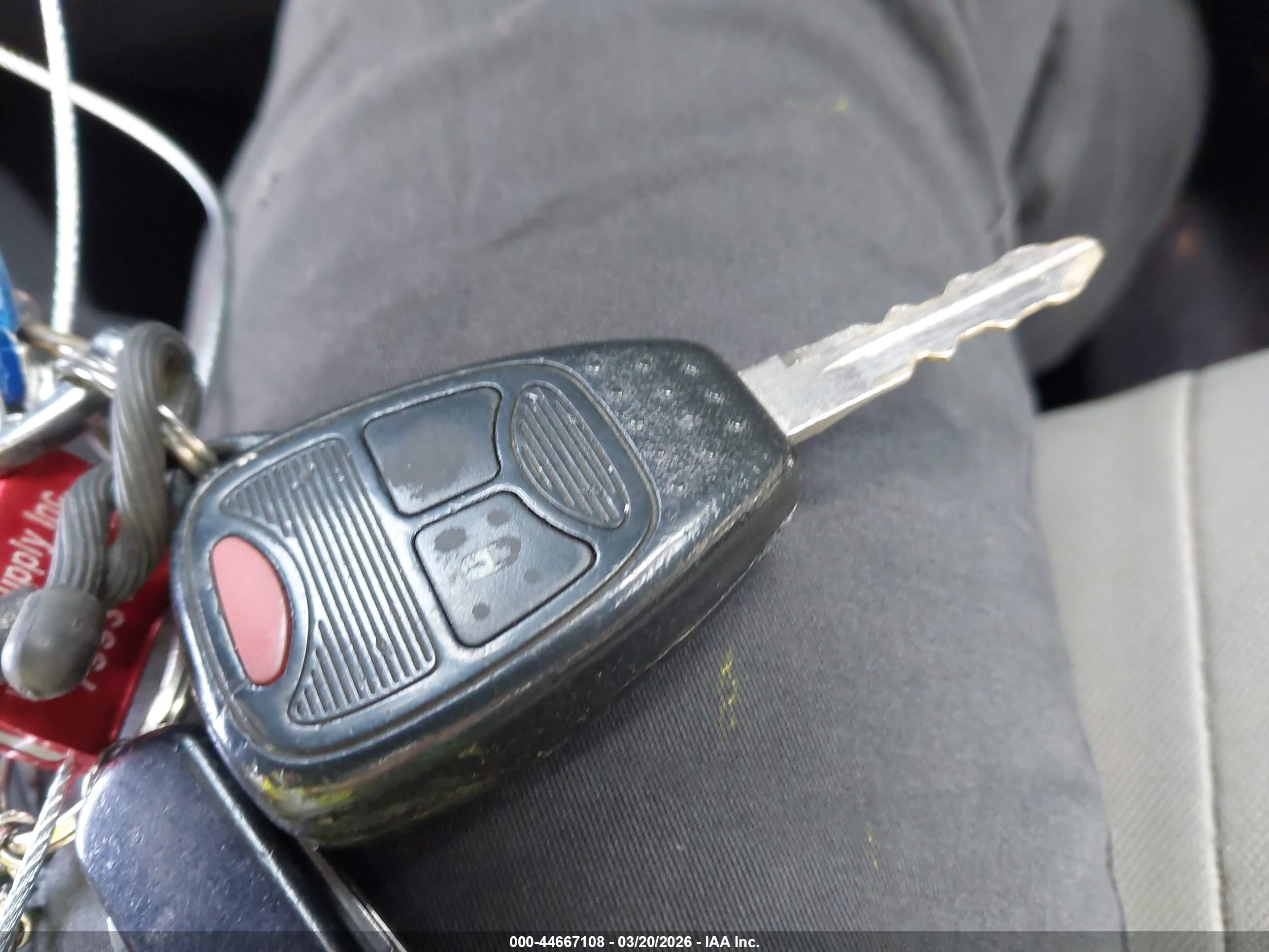 JEEP WRANGLER image 11