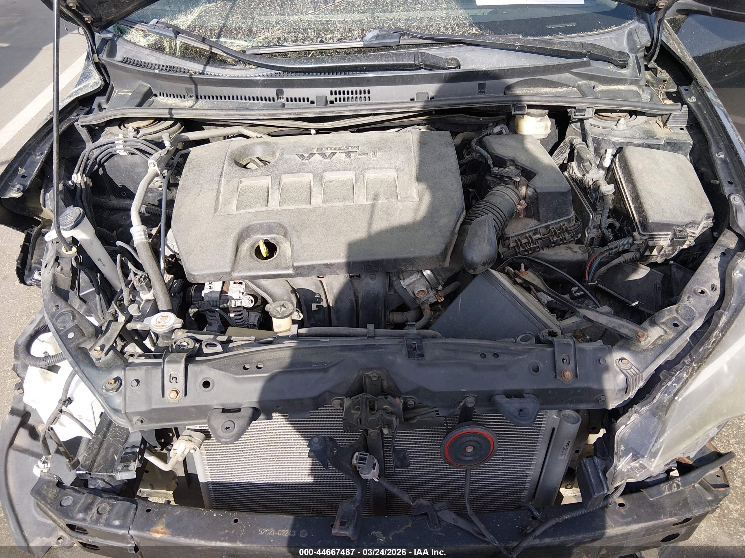 TOYOTA COROLLA image 10