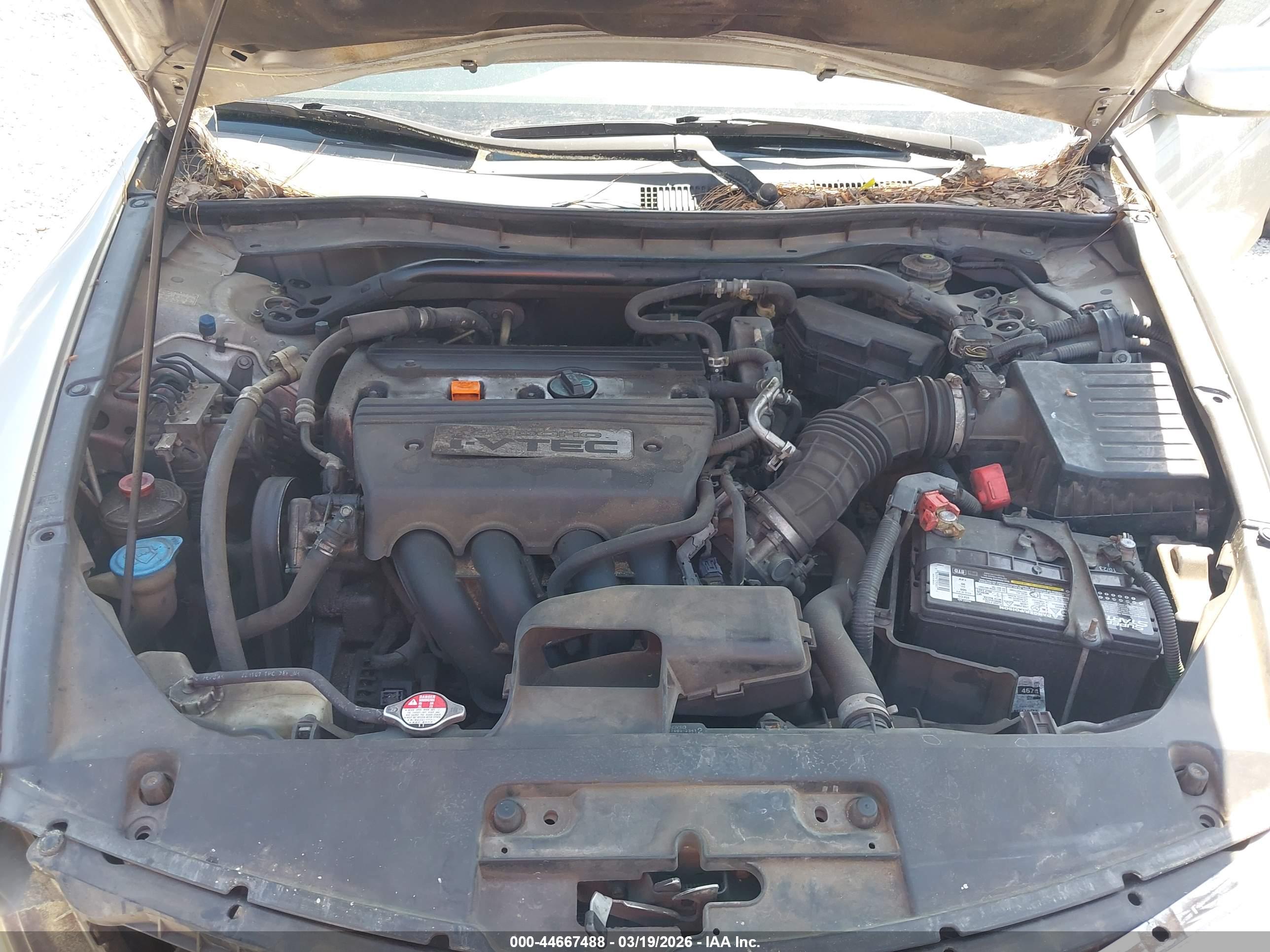 HONDA ACCORD image 10