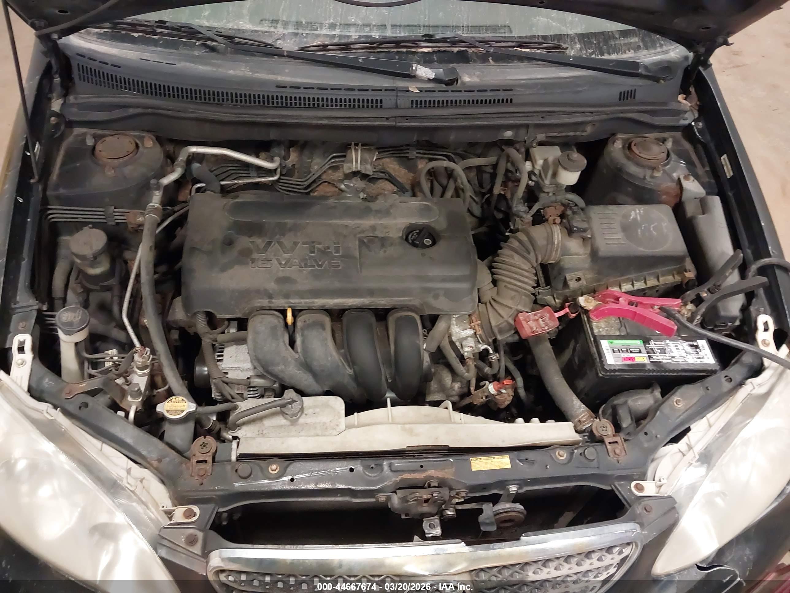 TOYOTA COROLLA image 10