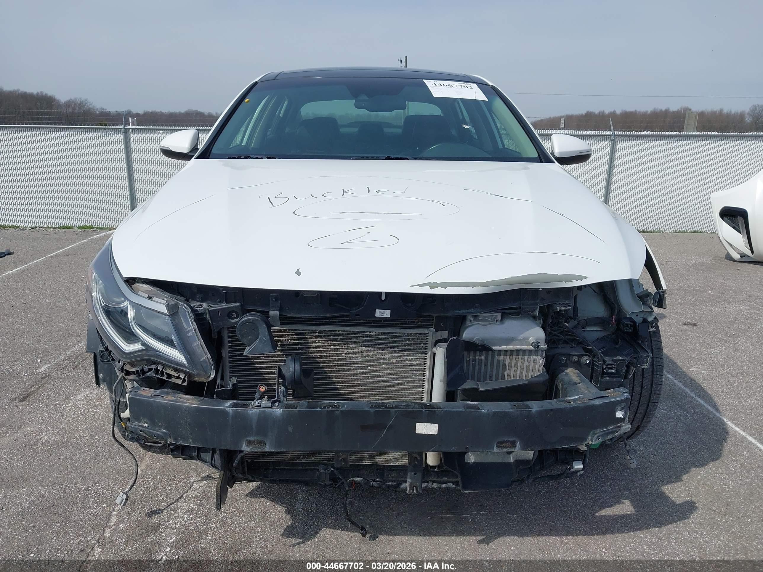 KIA OPTIMA image 6