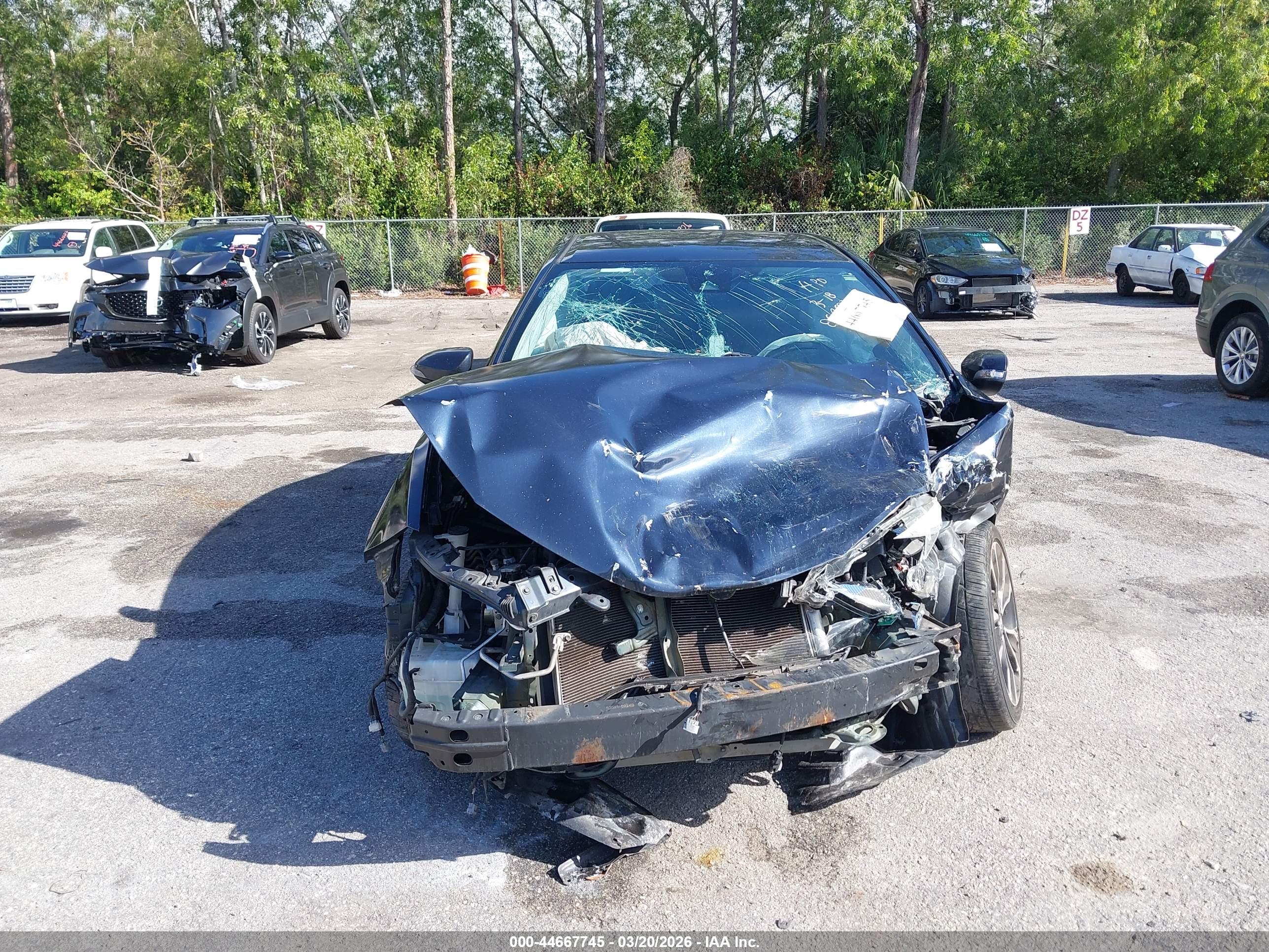 TOYOTA COROLLA image 6