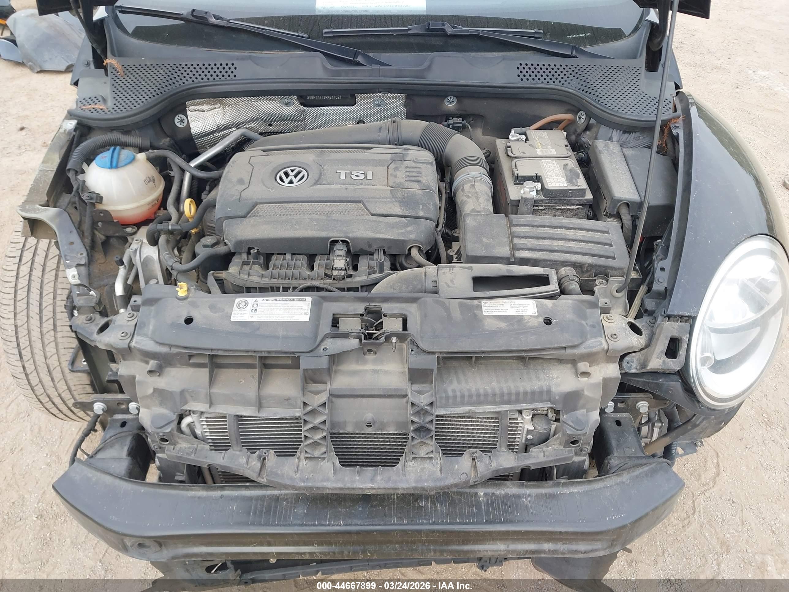 VOLKSWAGEN BEETLE image 10