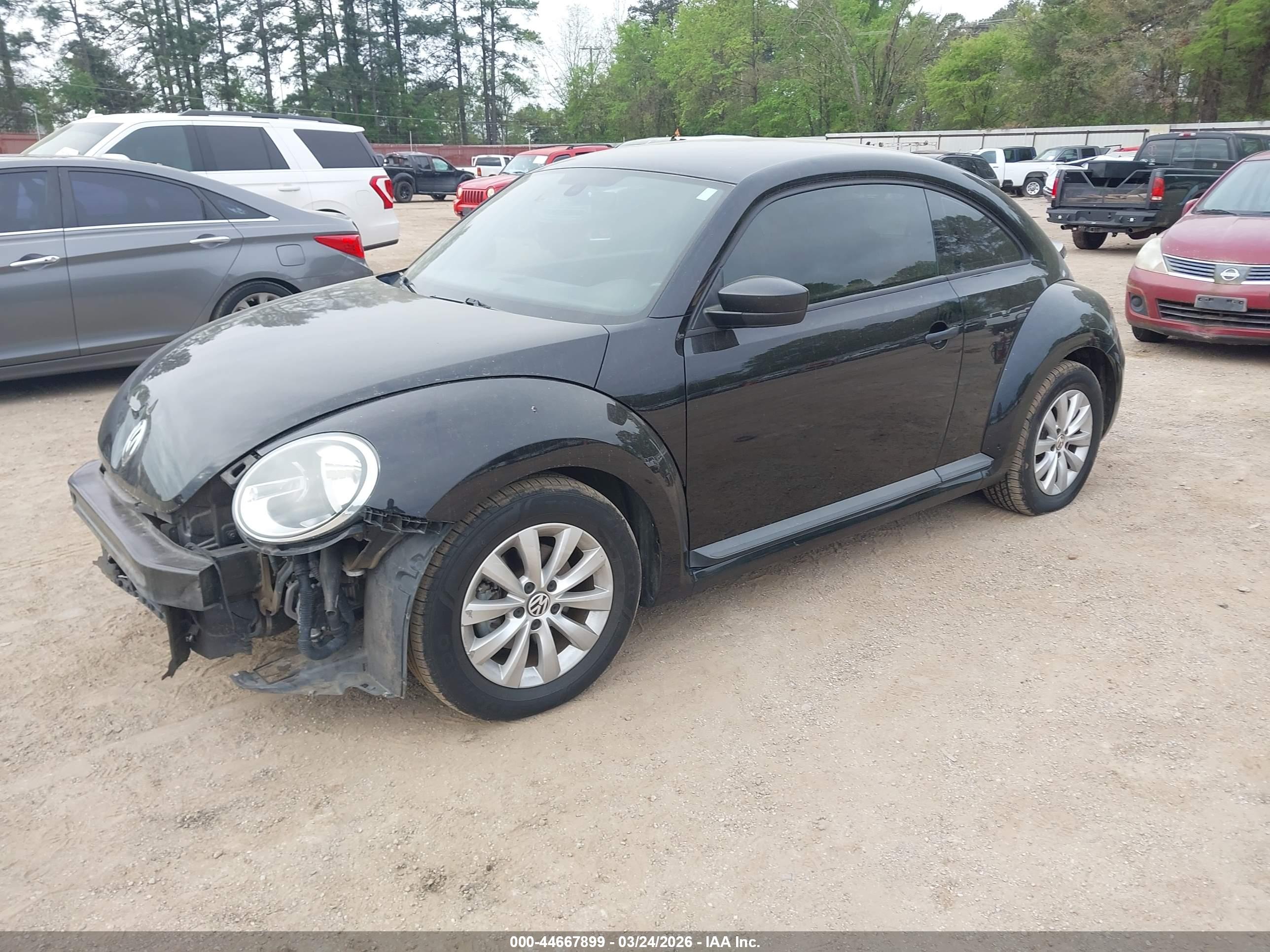 VOLKSWAGEN BEETLE image 2