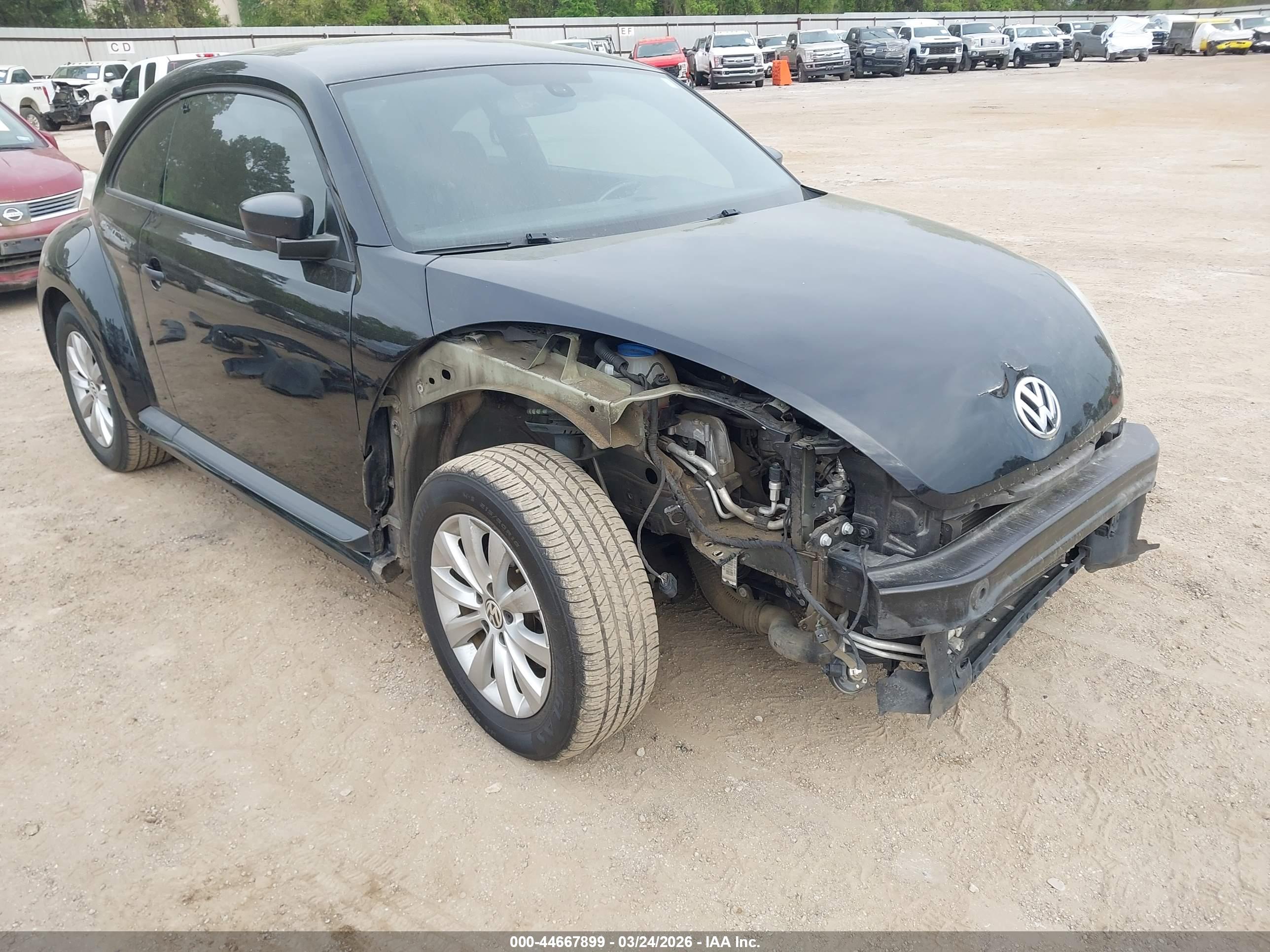 VOLKSWAGEN BEETLE image 6