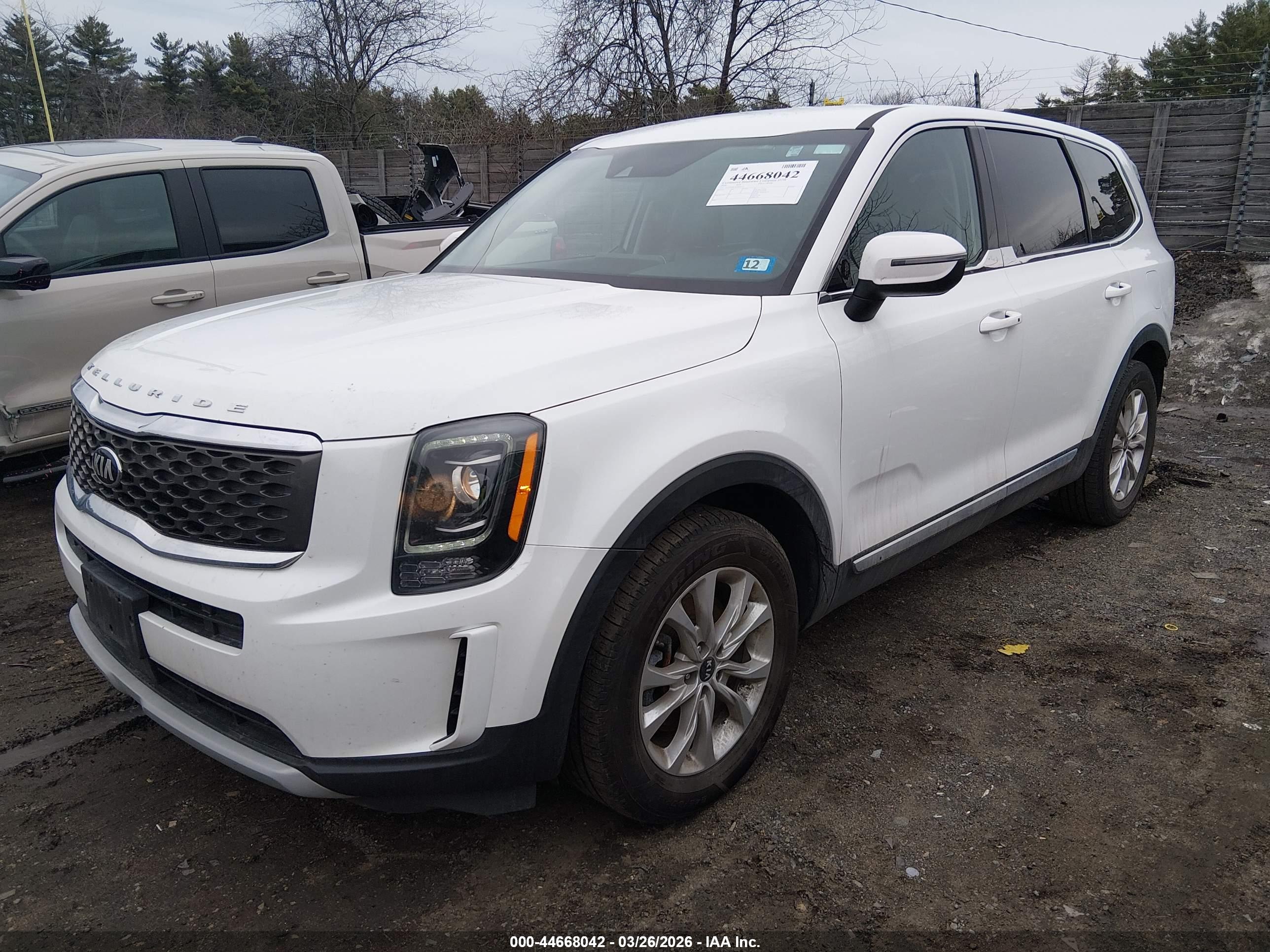 KIA TELLURIDE image 2