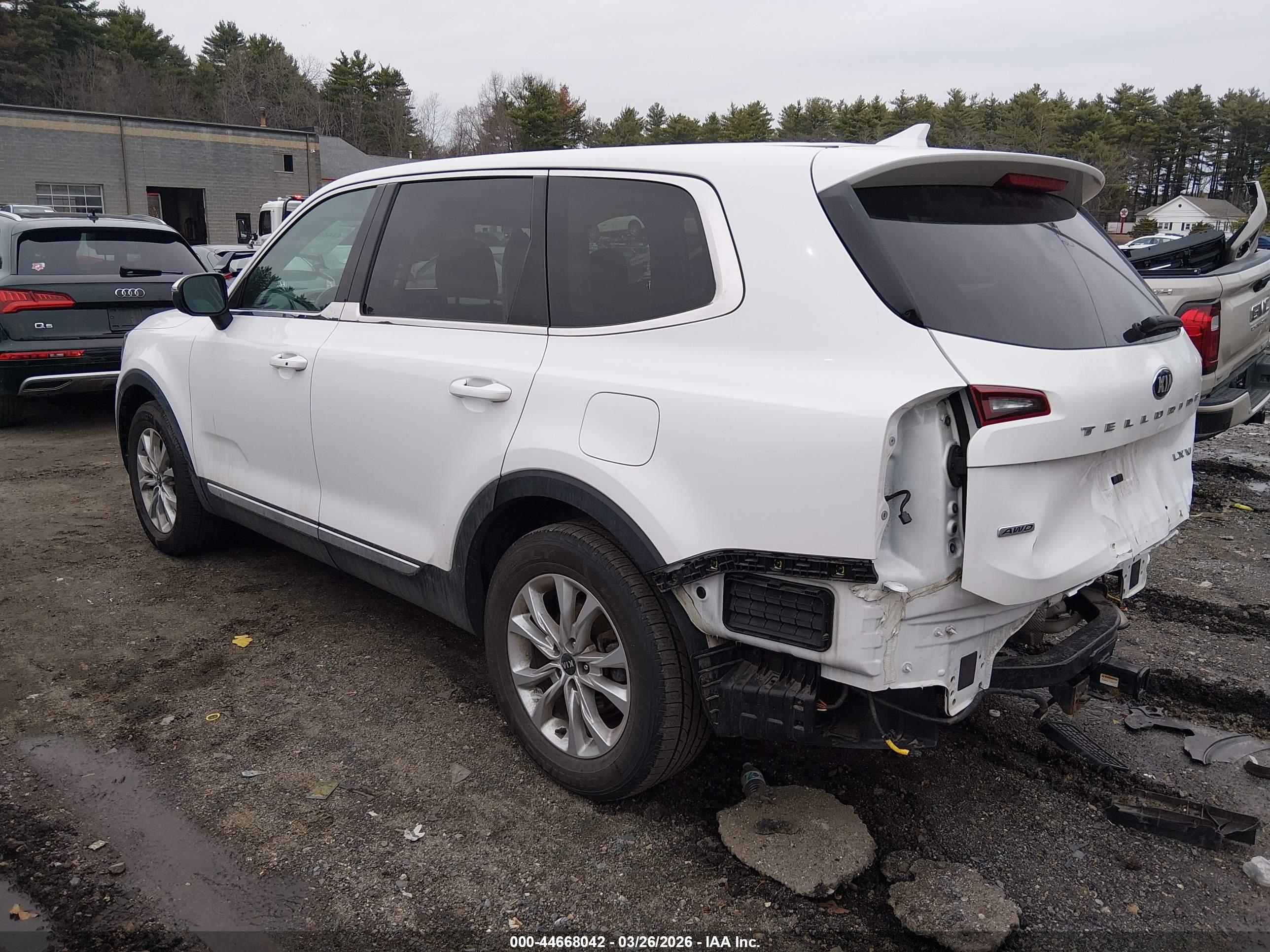 KIA TELLURIDE image 3