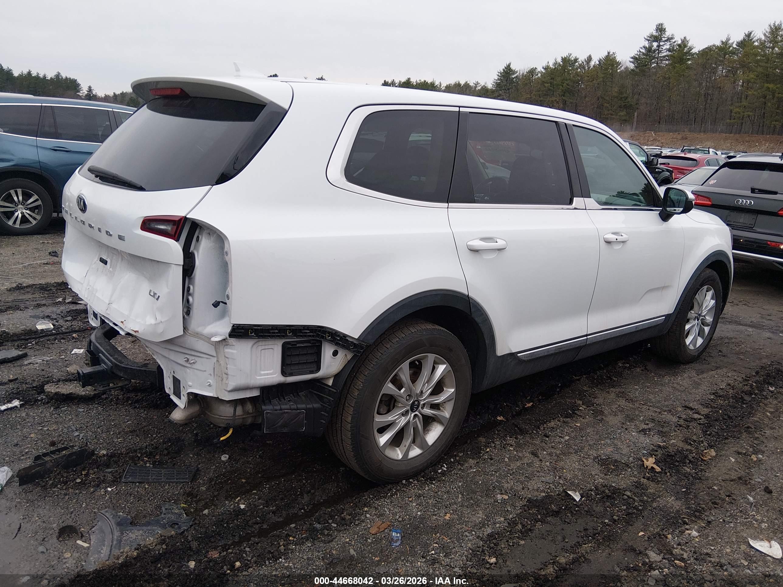 KIA TELLURIDE image 4