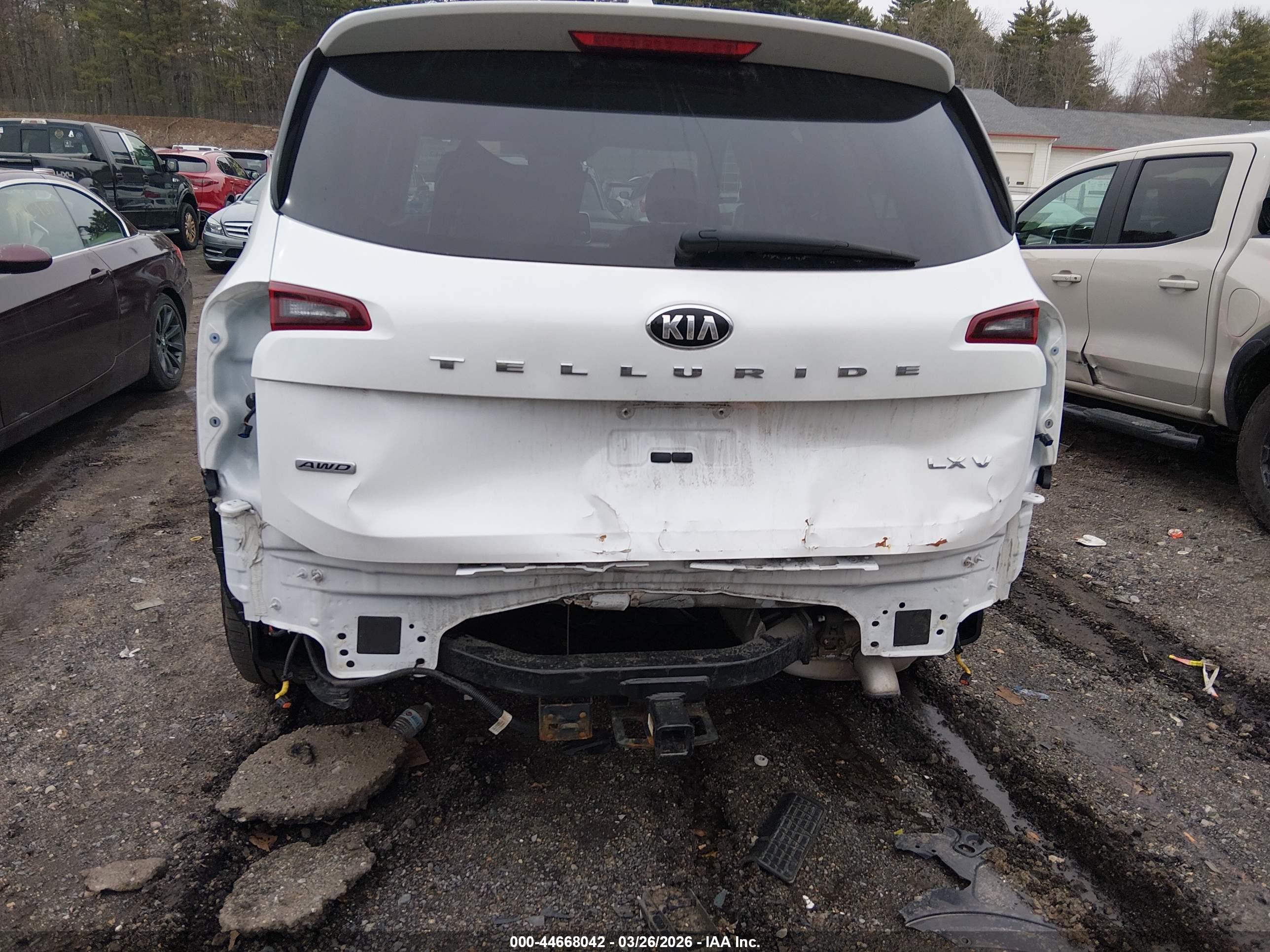 KIA TELLURIDE image 6