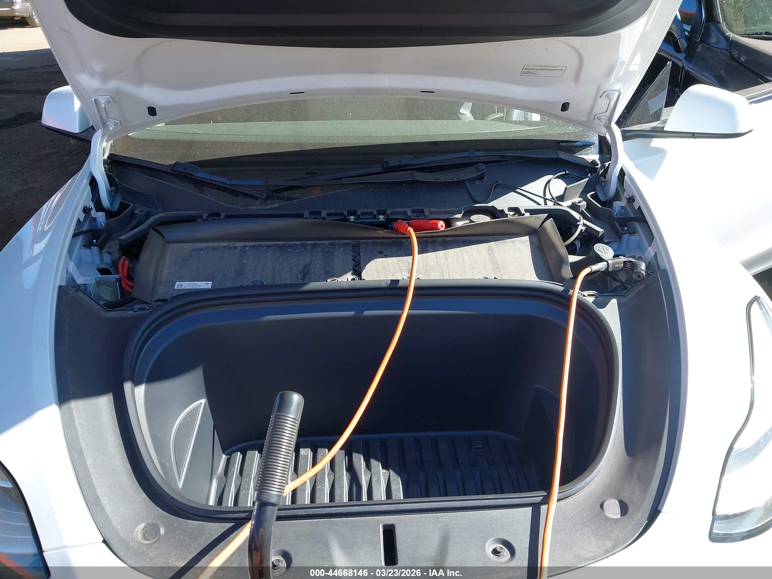 TESLA MODEL image 10