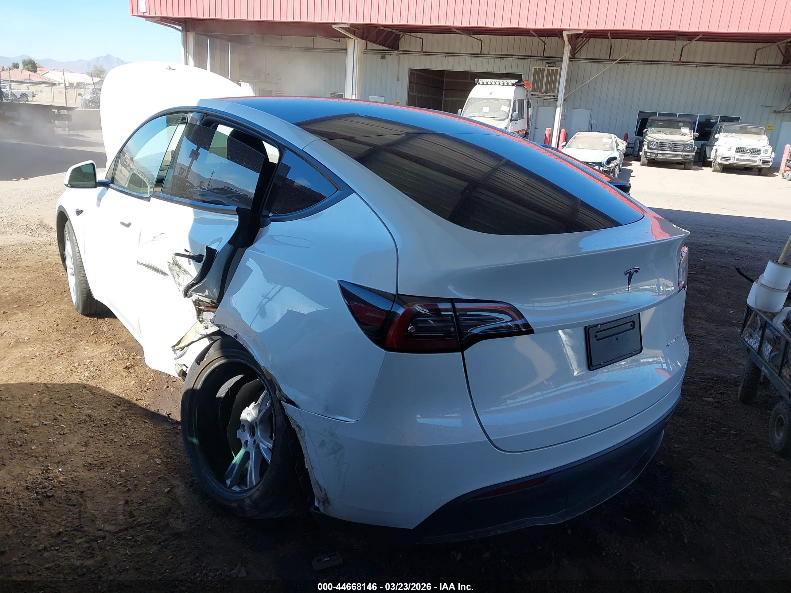 TESLA MODEL image 6