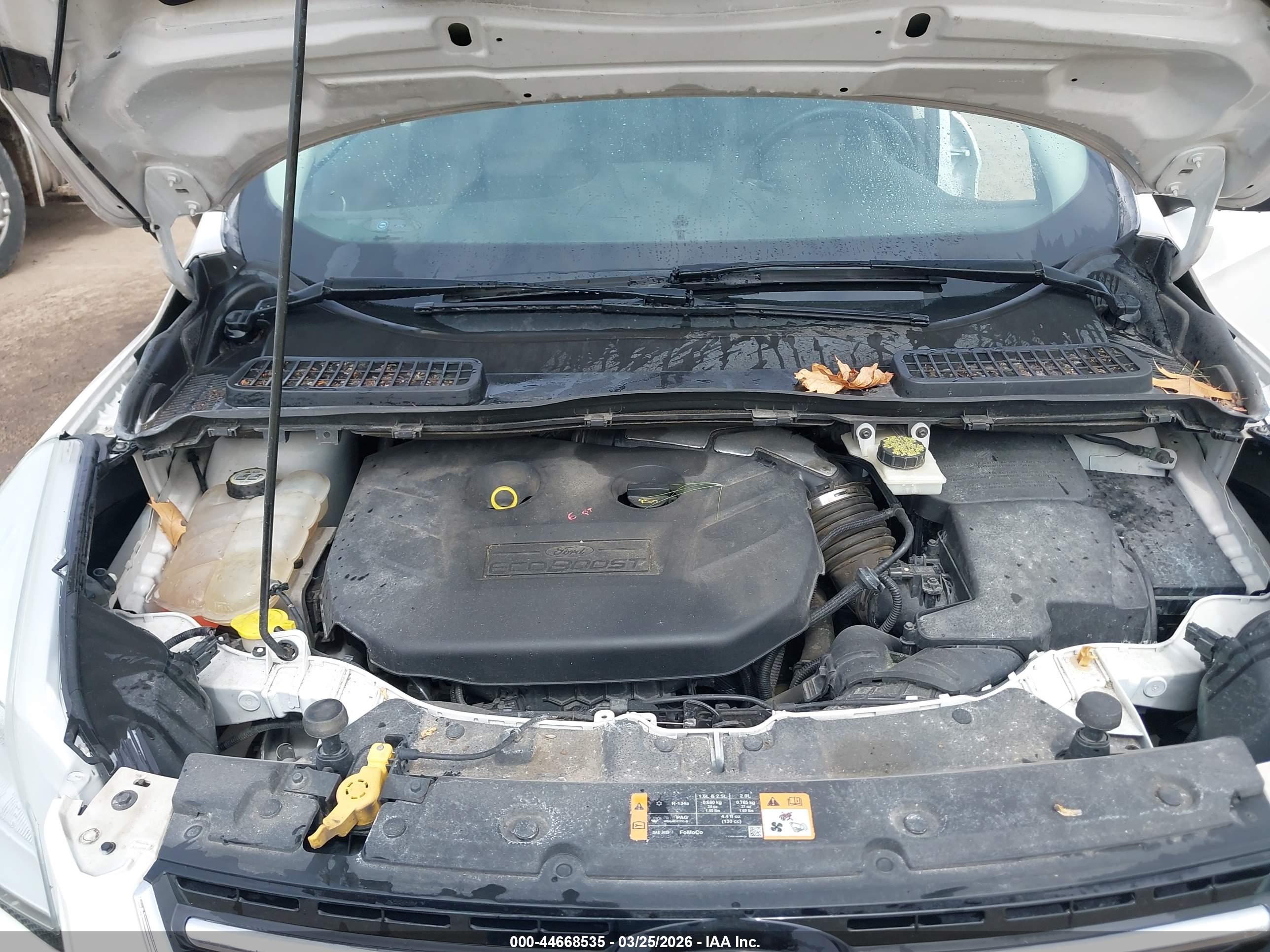 FORD ESCAPE image 10