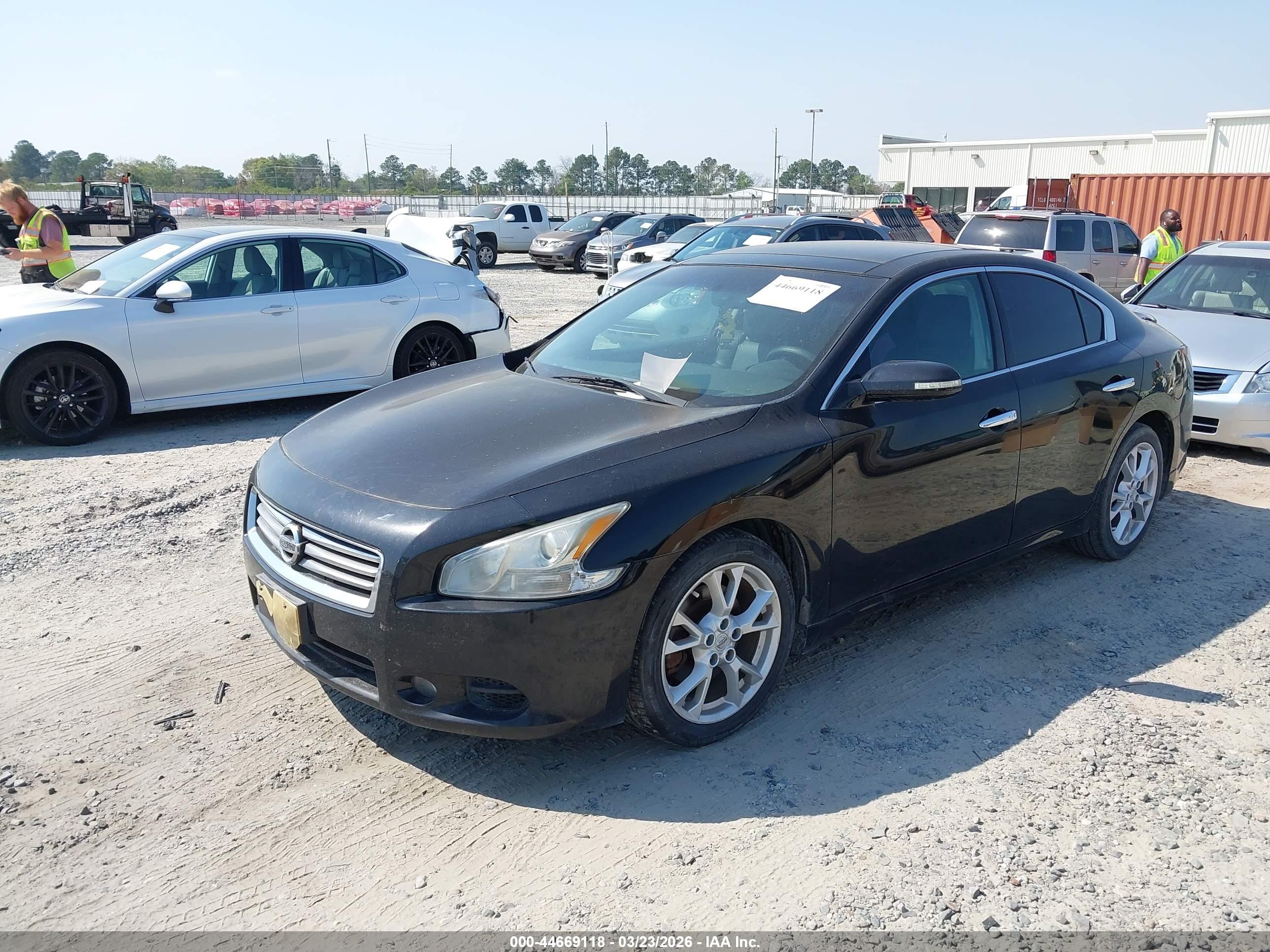 NISSAN MAXIMA image 2
