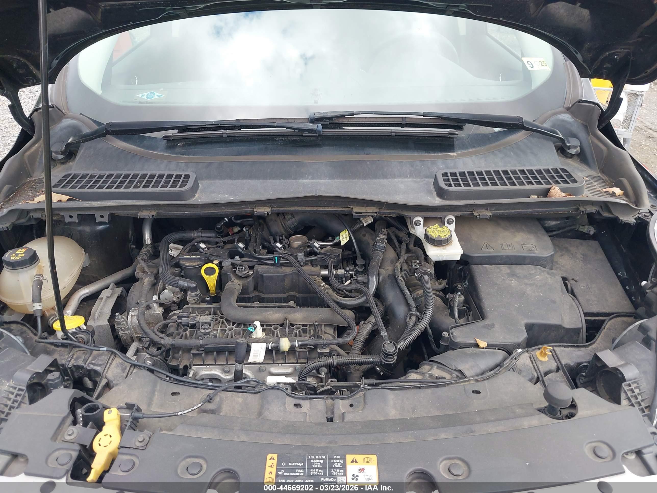 FORD ESCAPE image 10
