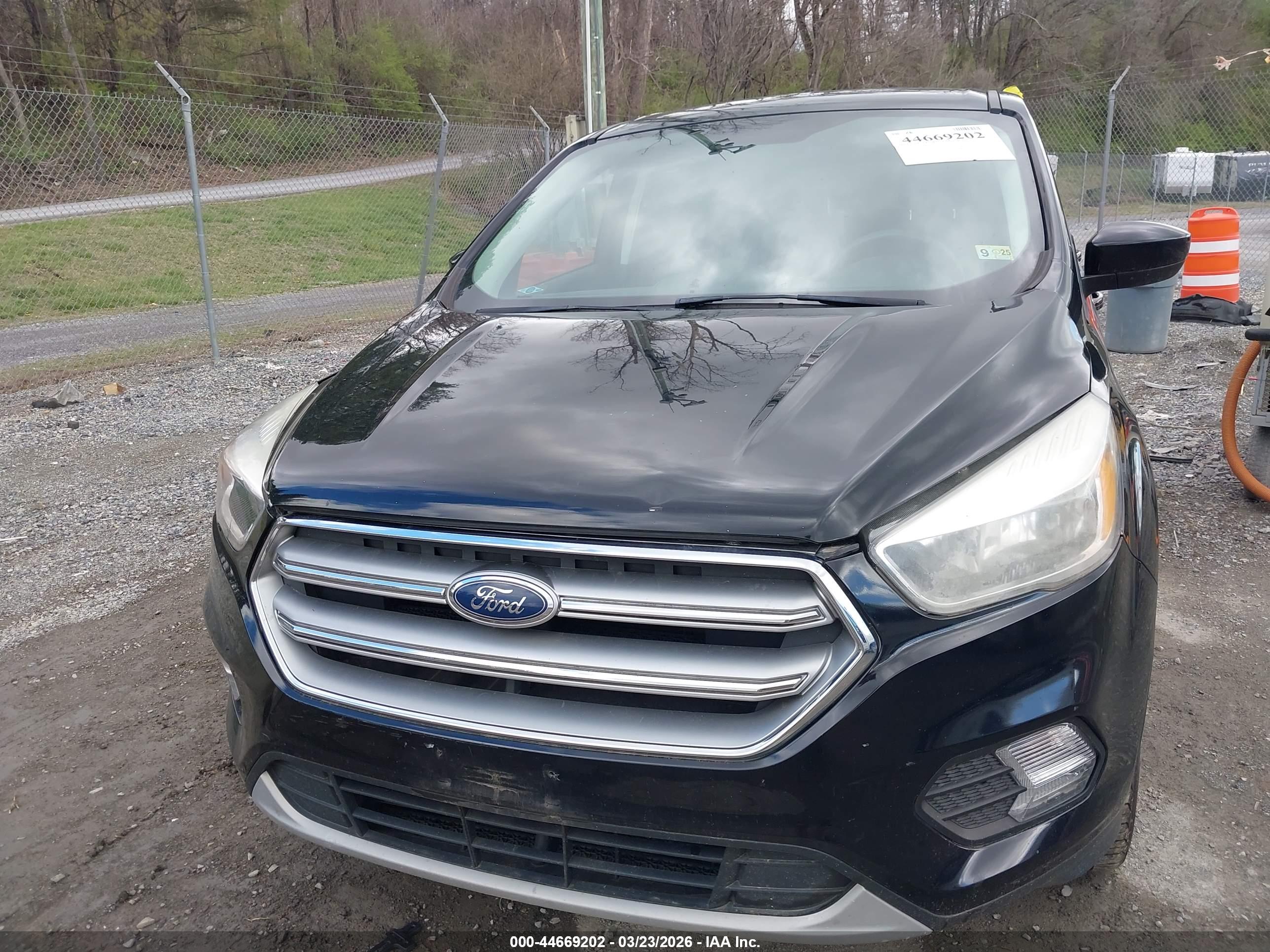FORD ESCAPE image 6