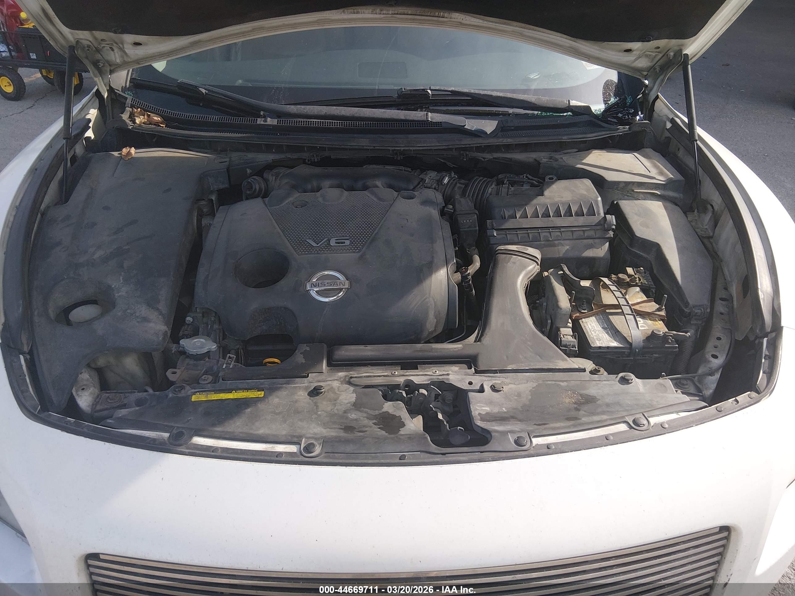 NISSAN MAXIMA image 10