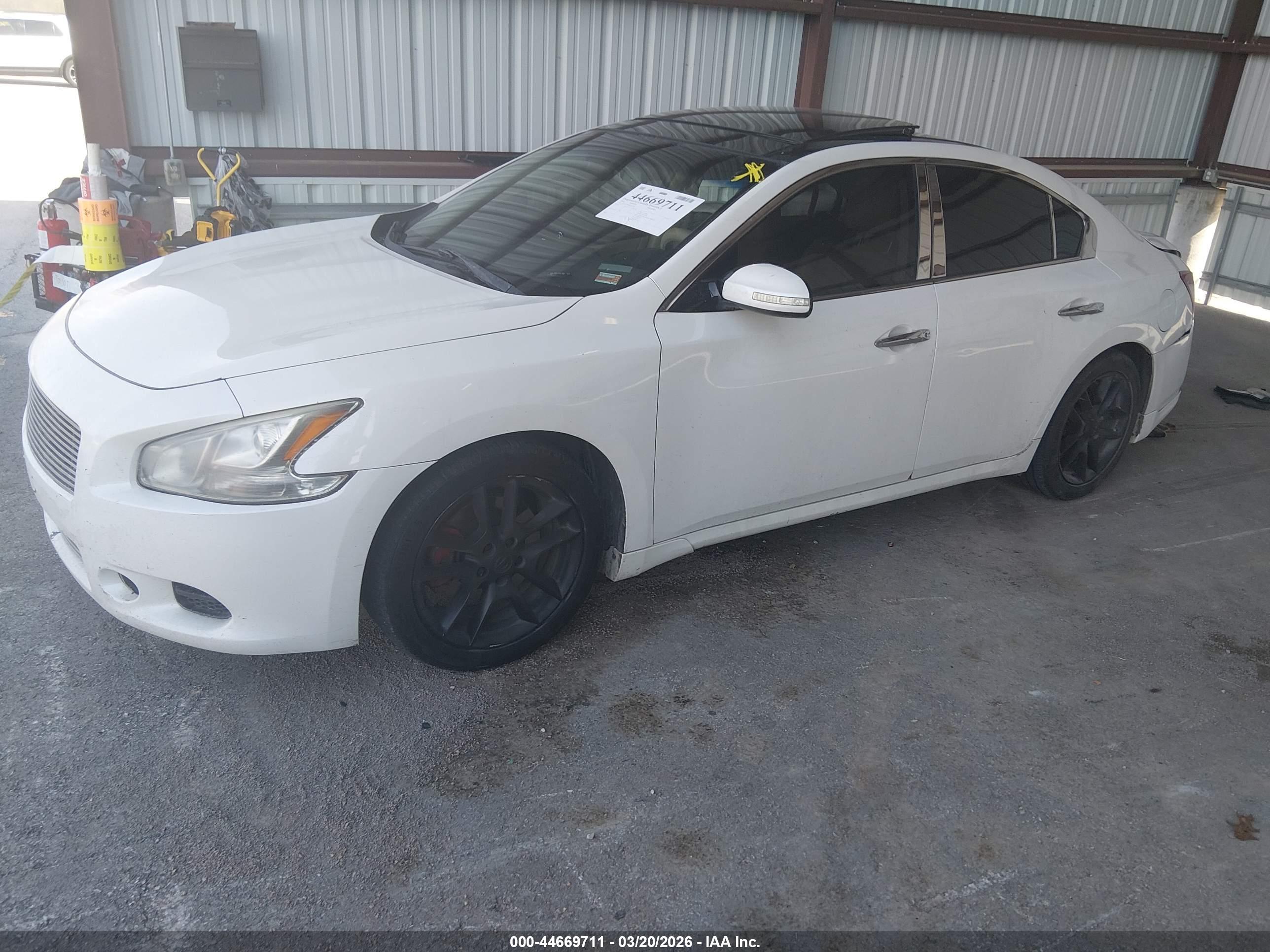 NISSAN MAXIMA image 2