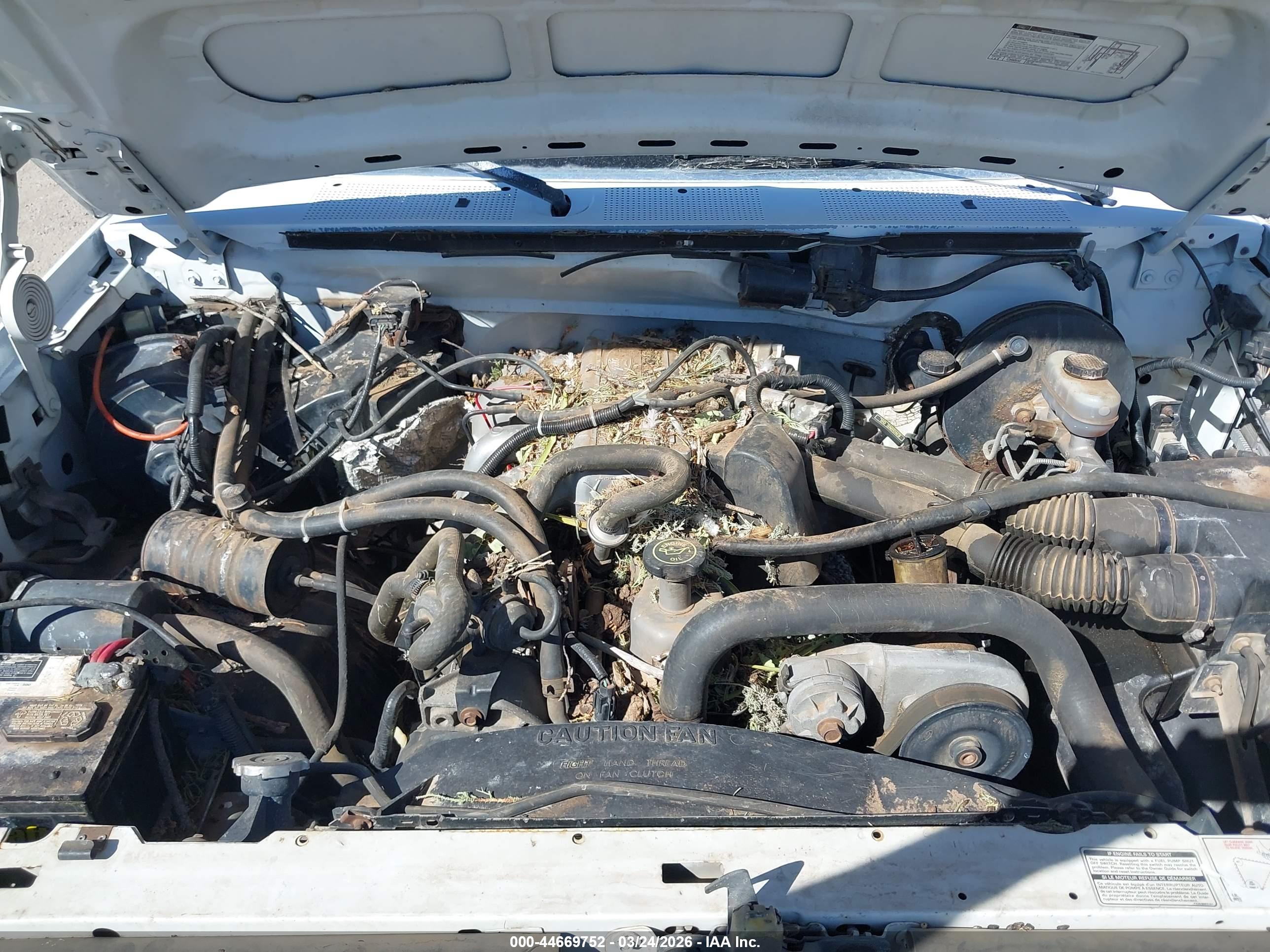 FORD F150 image 10