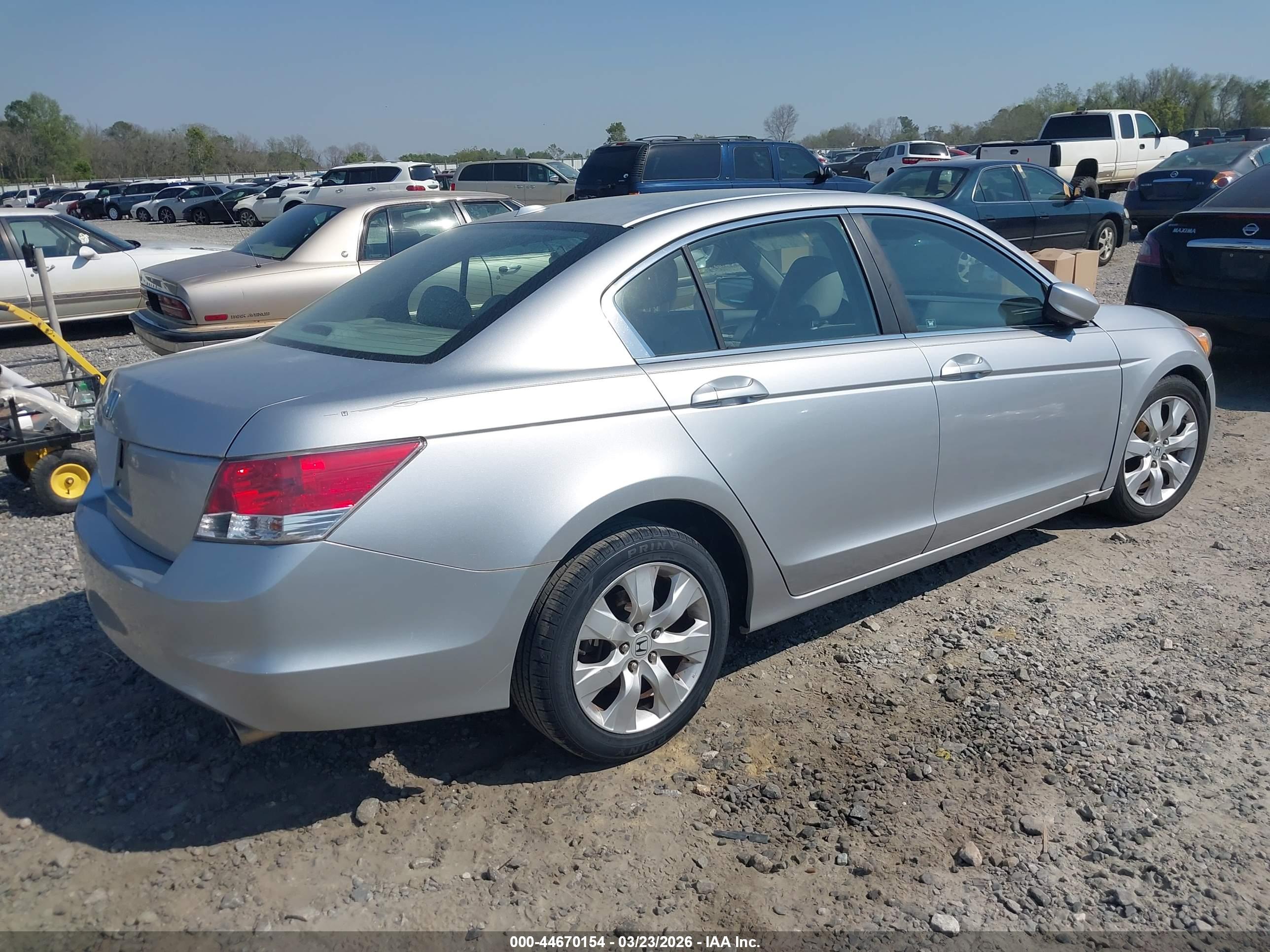 HONDA ACCORD image 4
