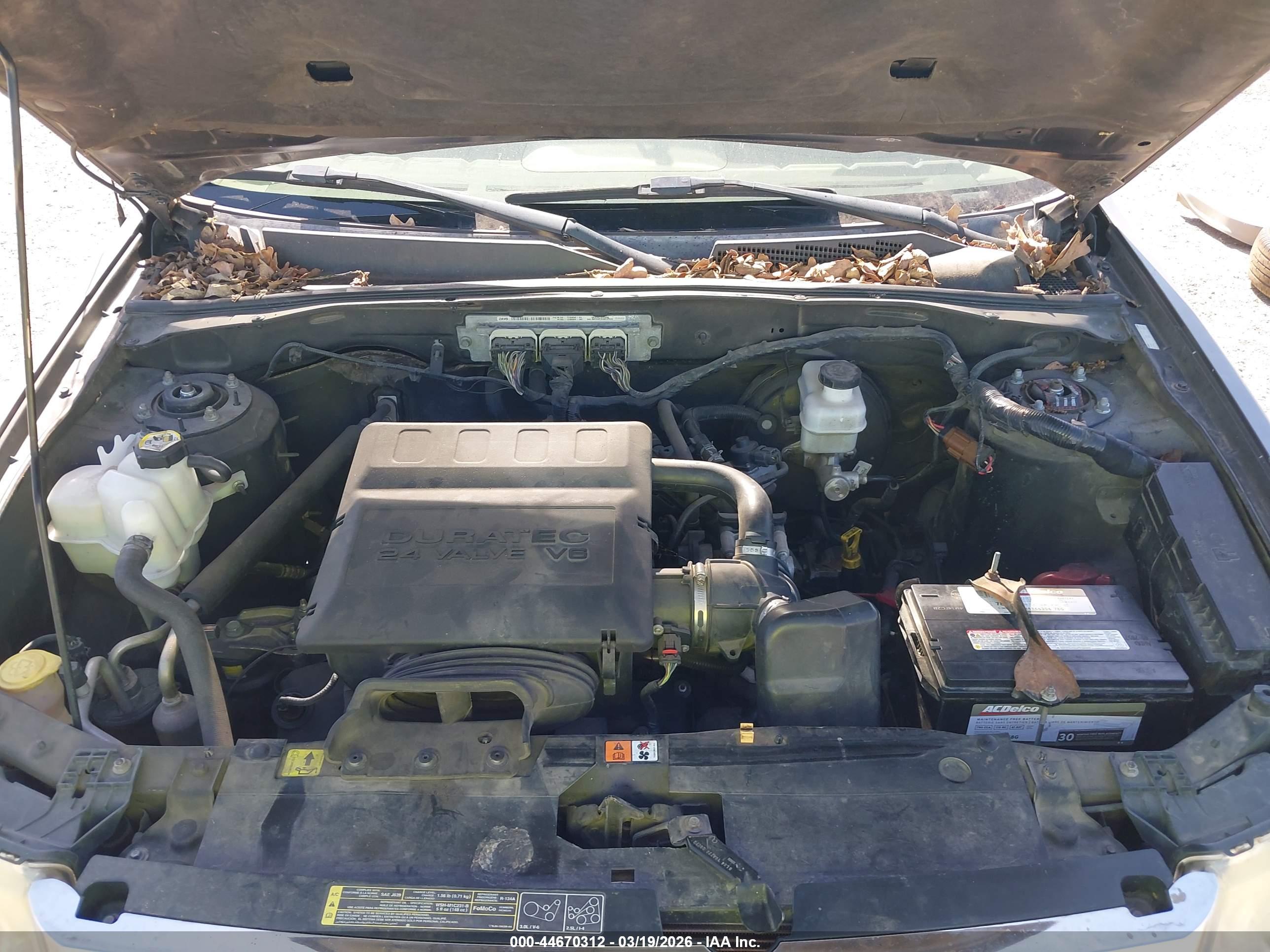 FORD ESCAPE image 10