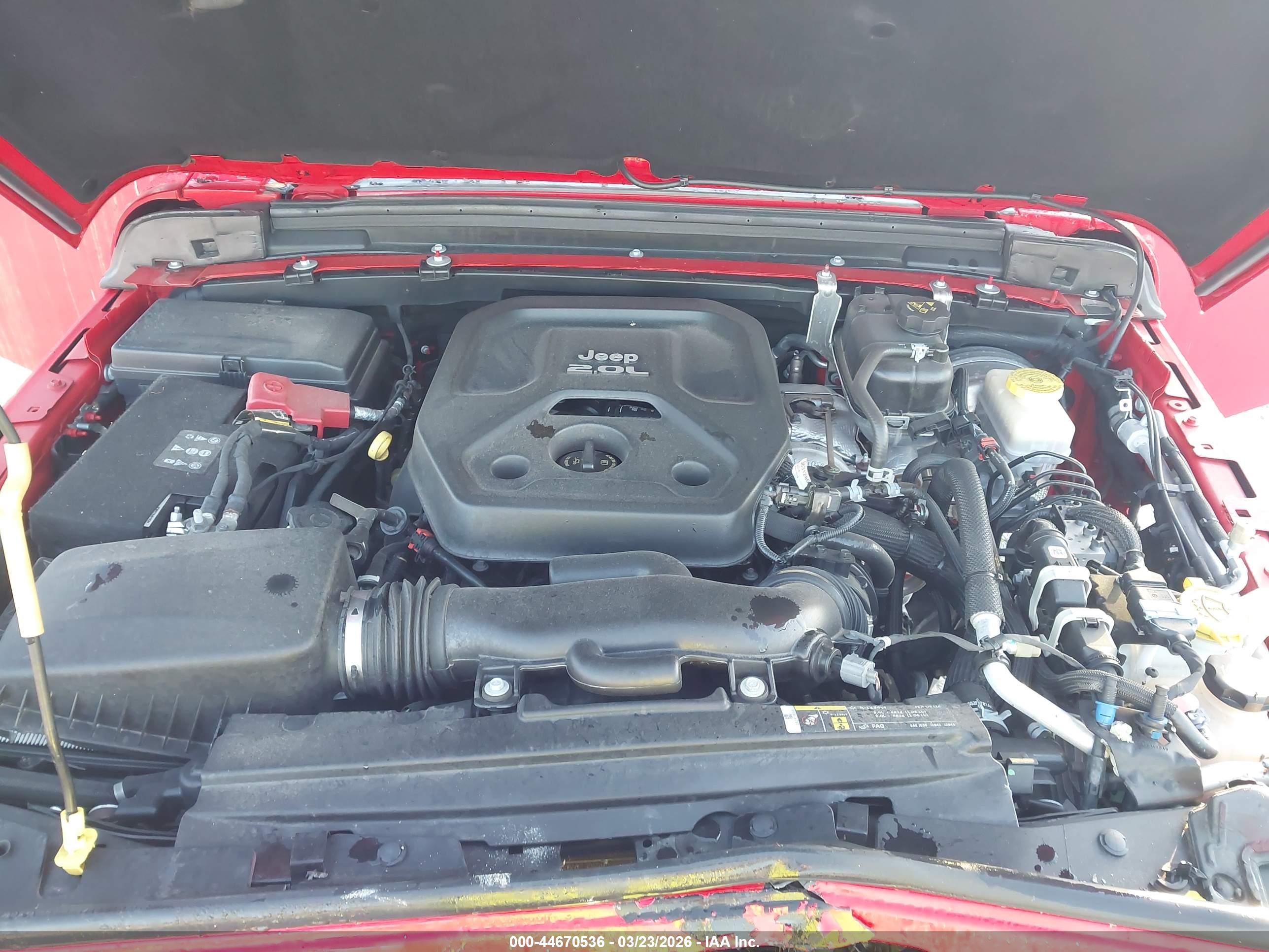 JEEP WRANGLER image 10