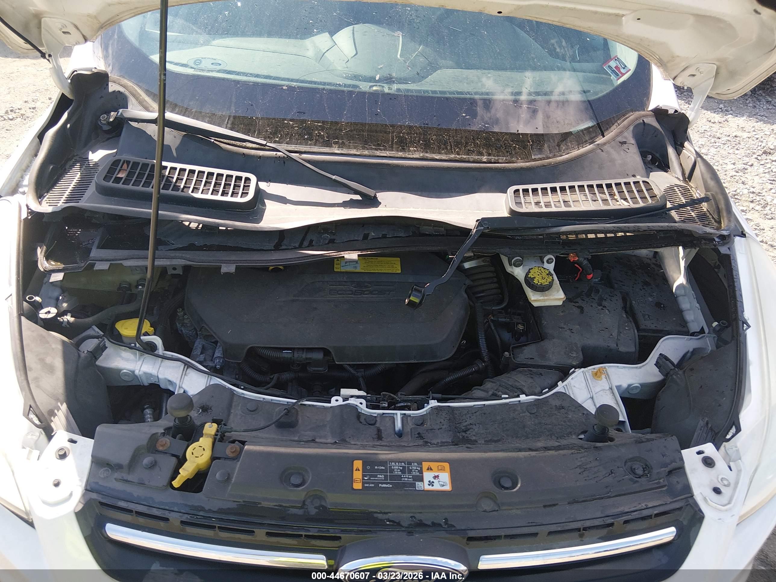 FORD ESCAPE image 10