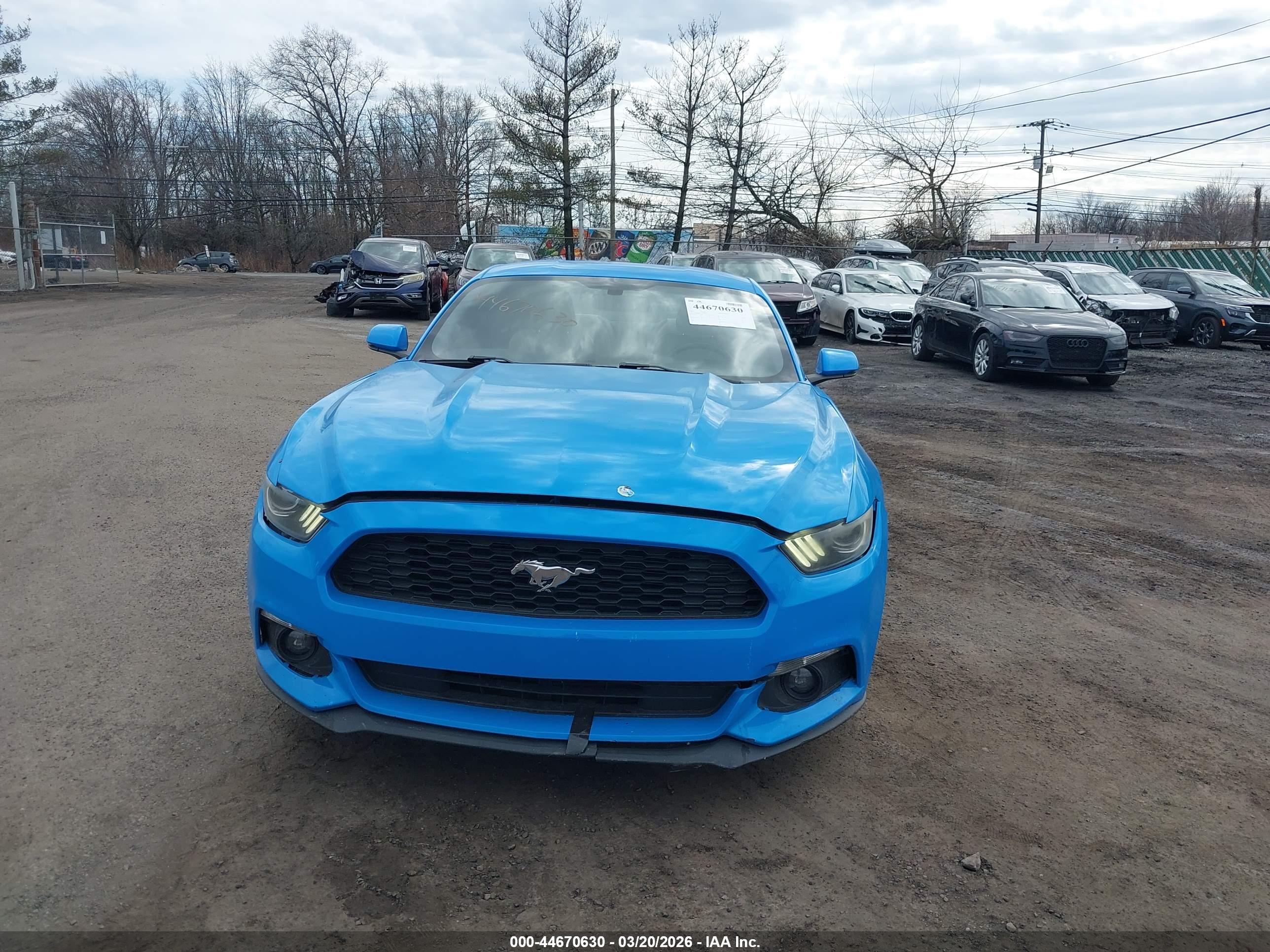 FORD MUSTANG image 6