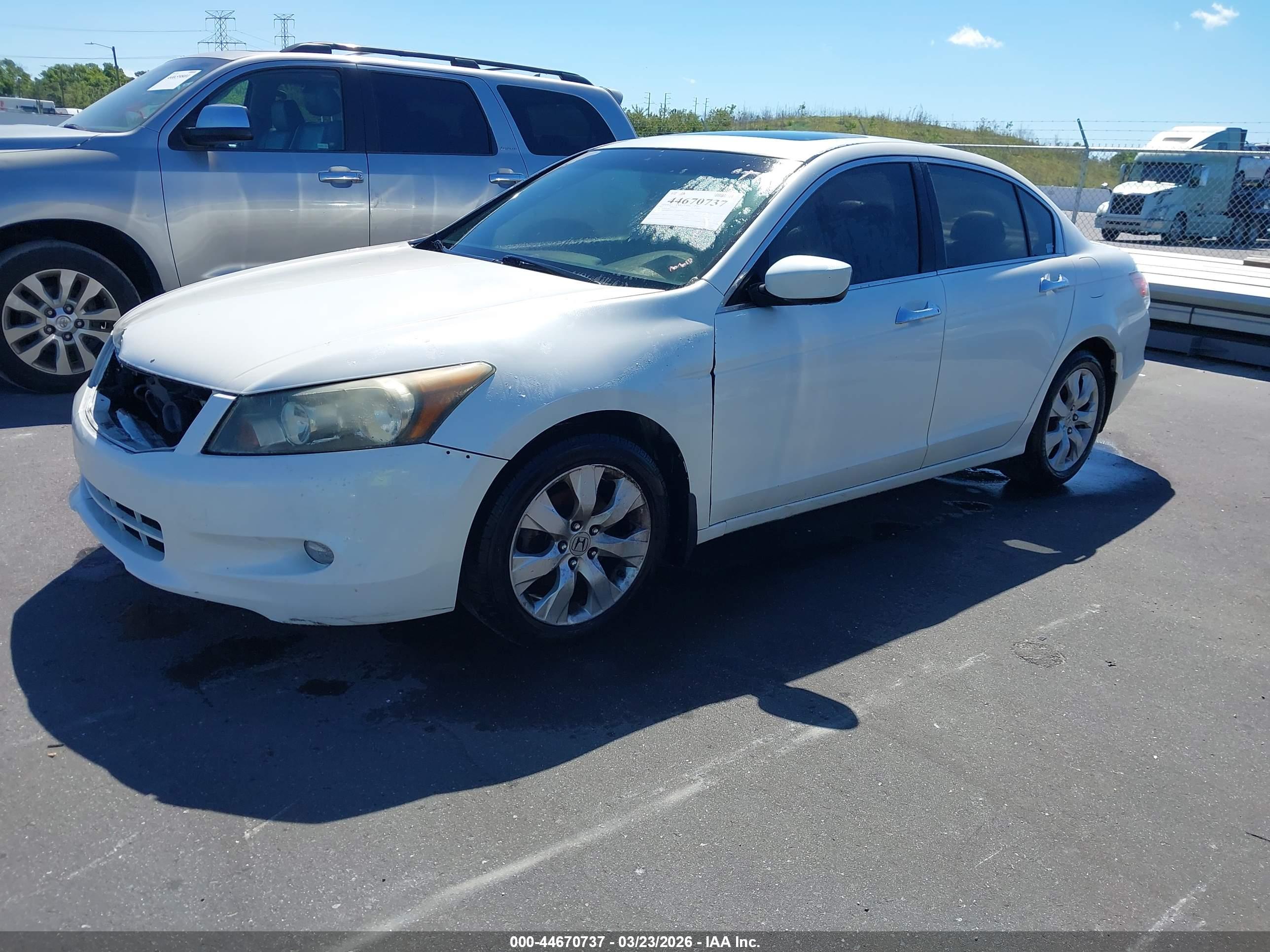 HONDA ACCORD image 2