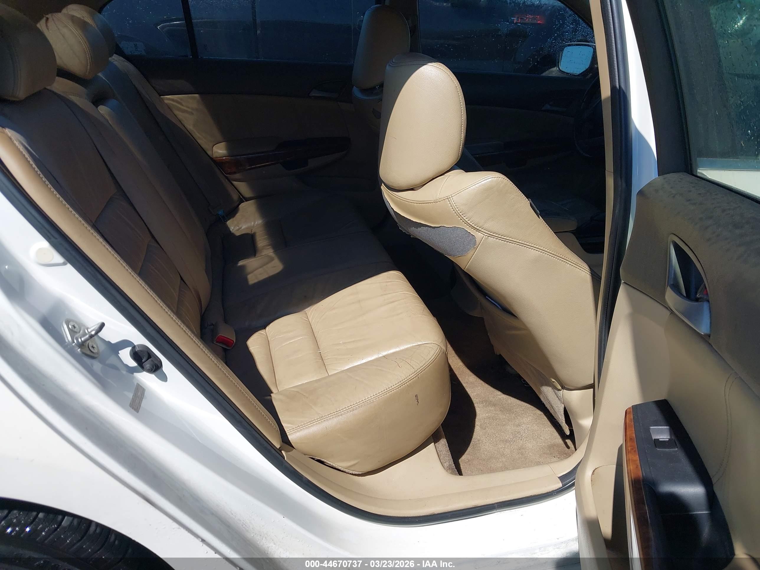HONDA ACCORD image 8