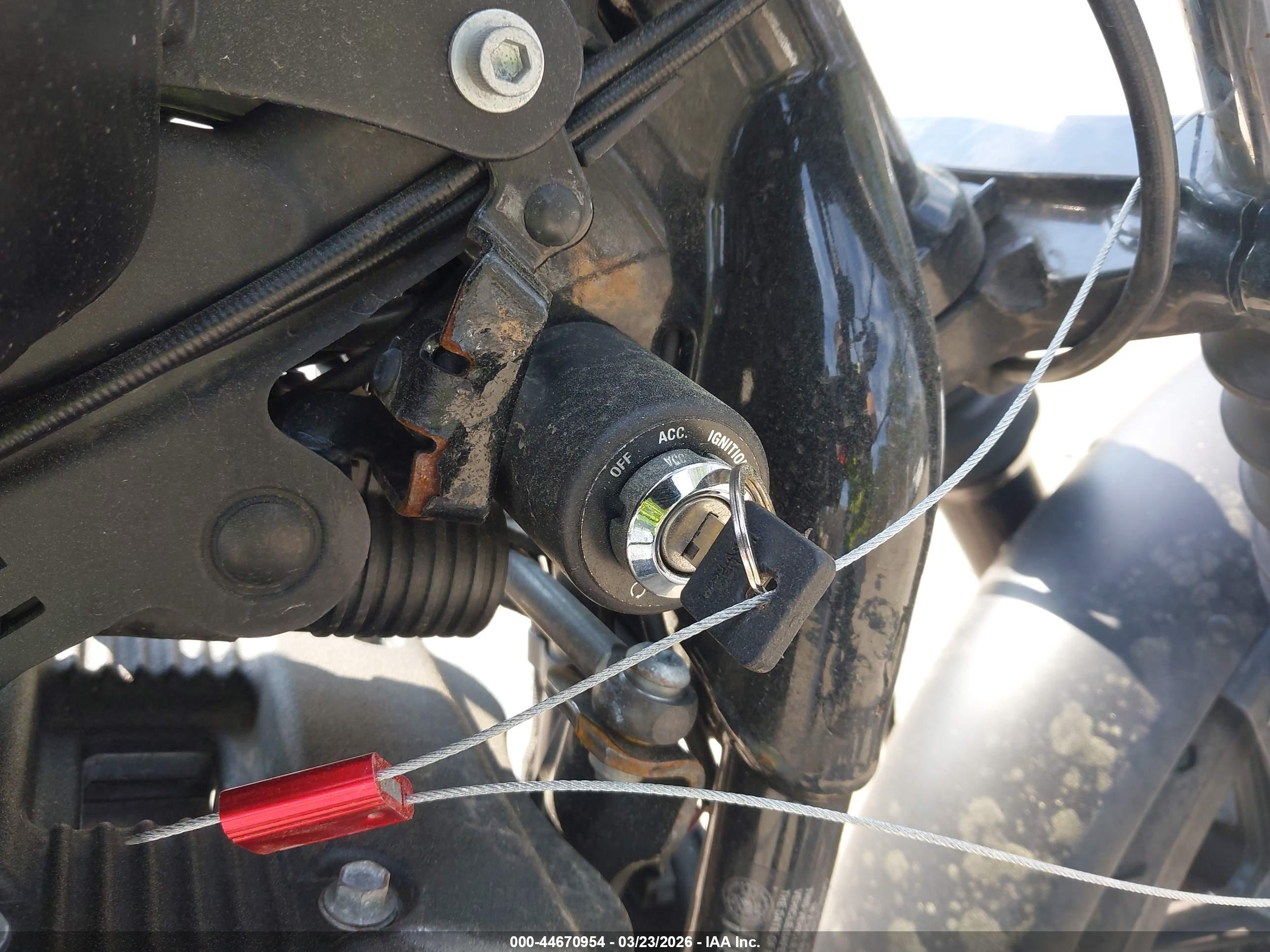 HARLEY-DAVIDSON XL883 image 11
