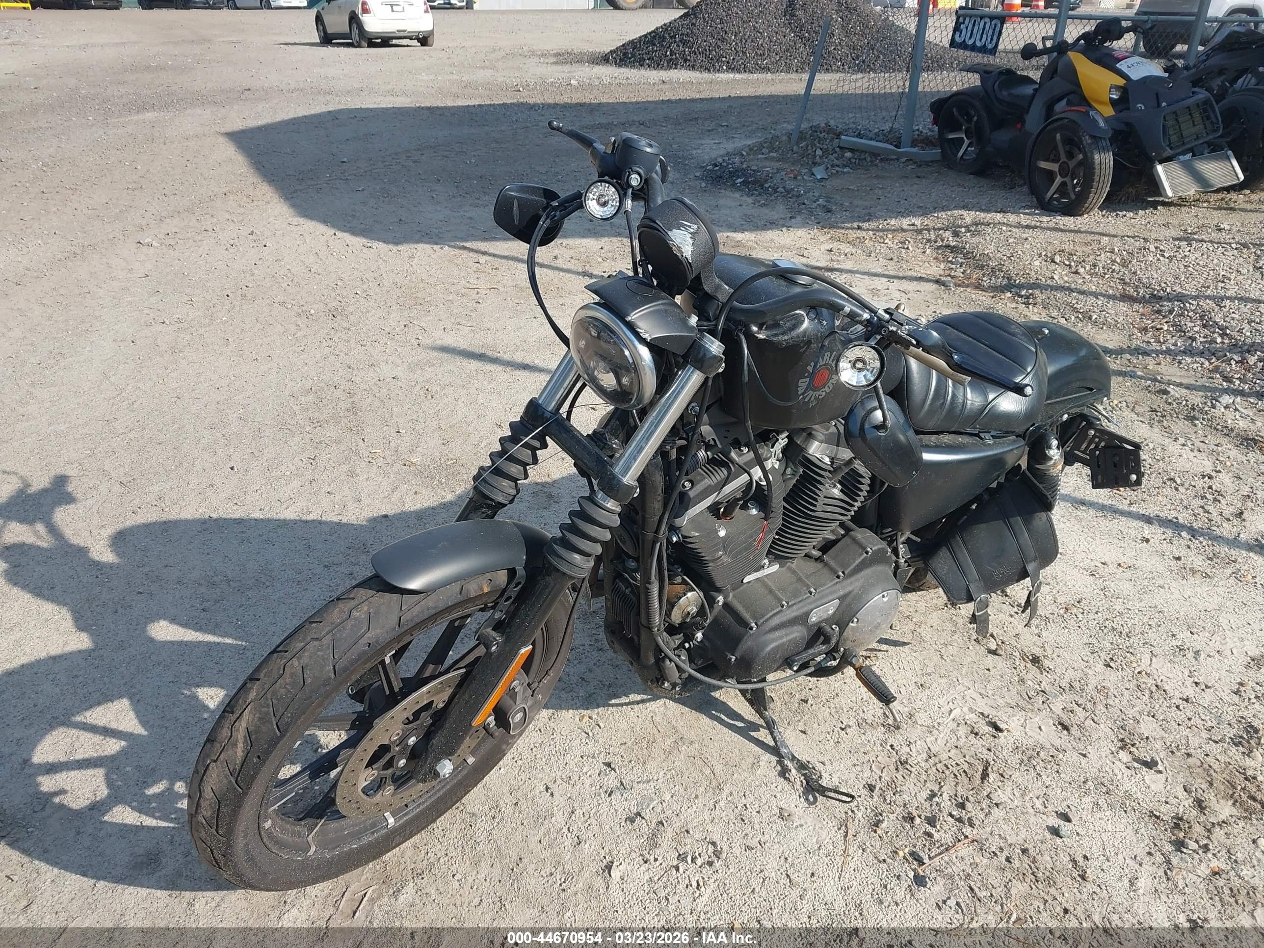 HARLEY-DAVIDSON XL883 image 2