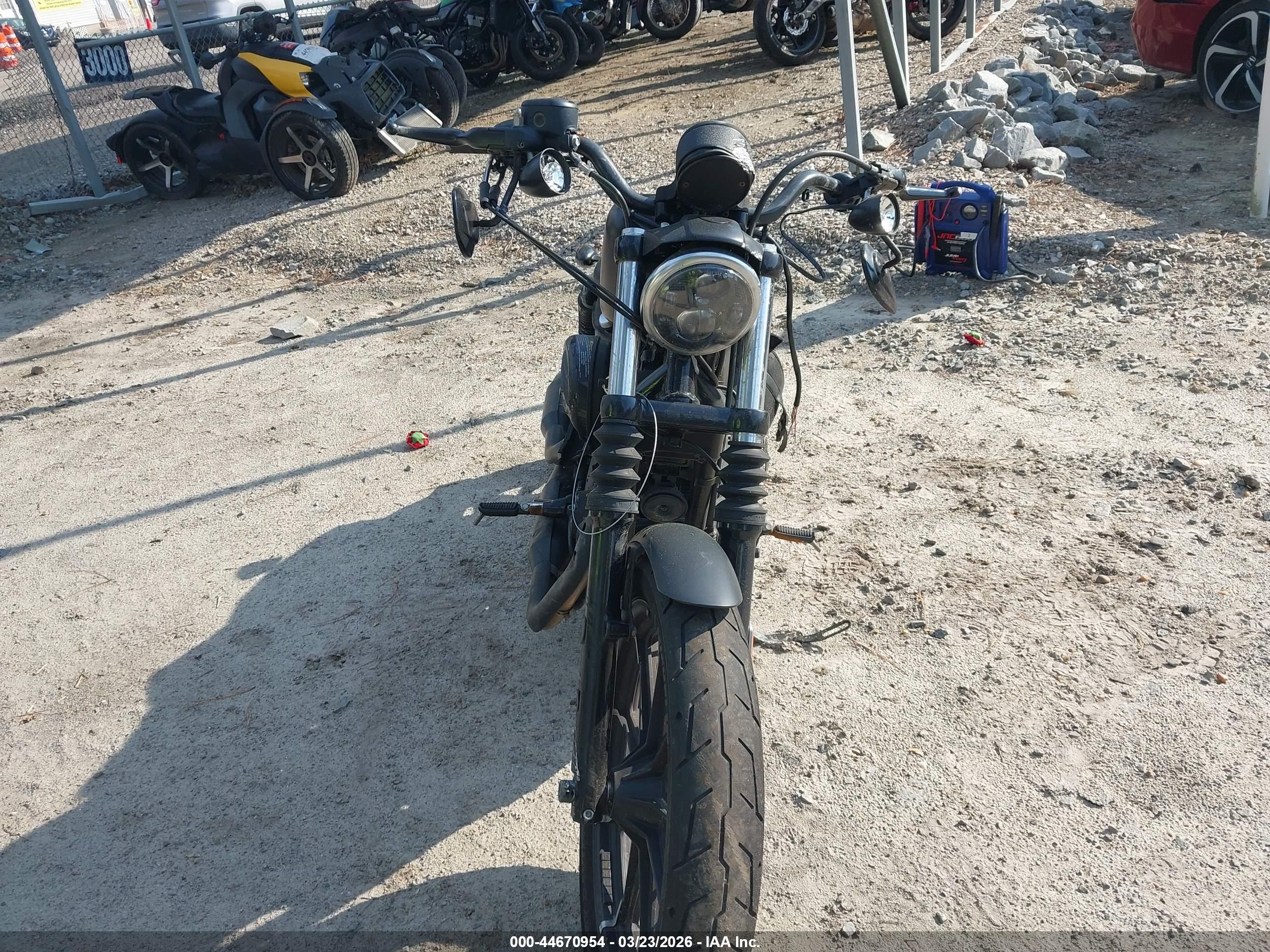 HARLEY-DAVIDSON XL883 image 5
