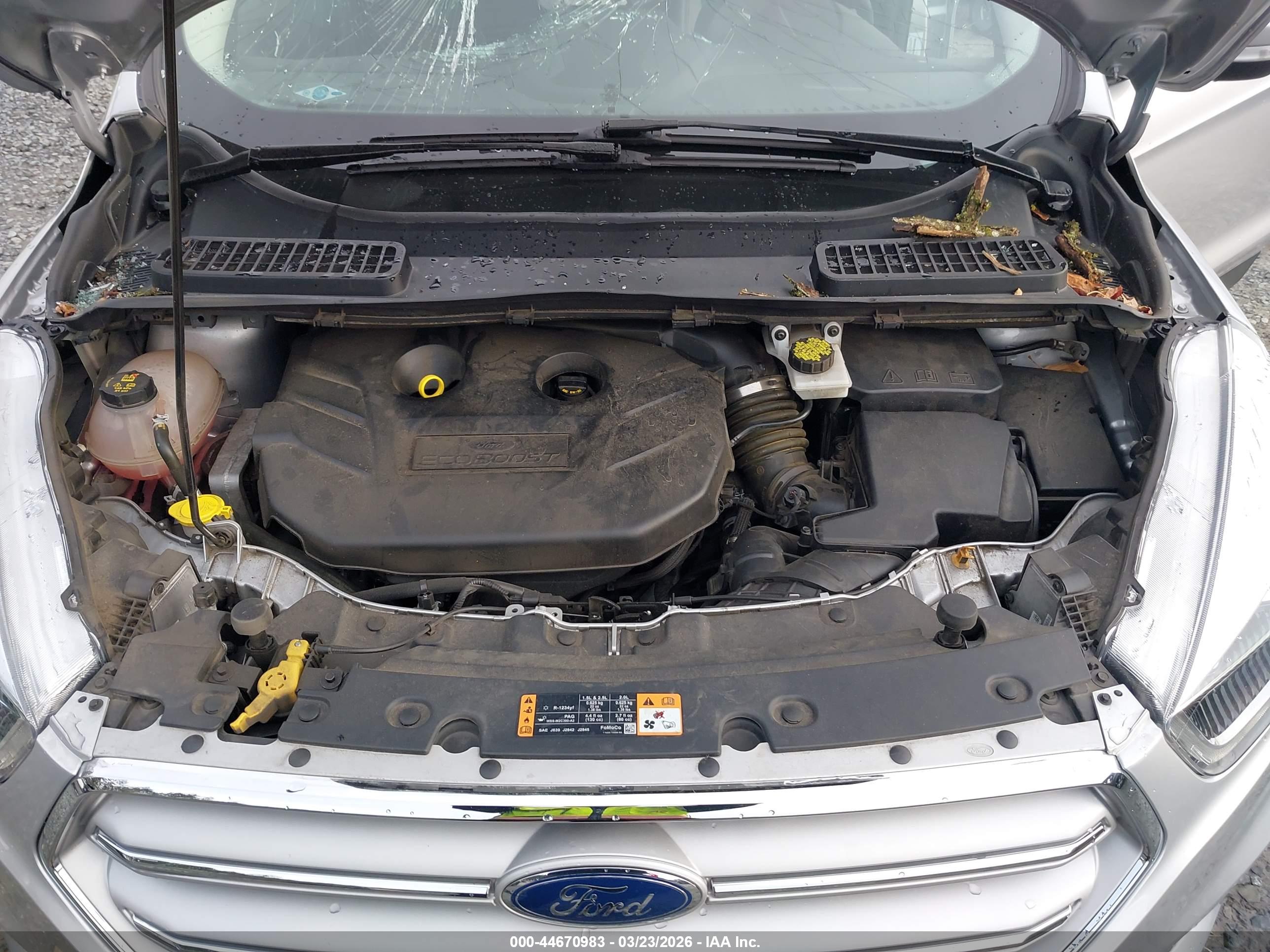 FORD ESCAPE image 10