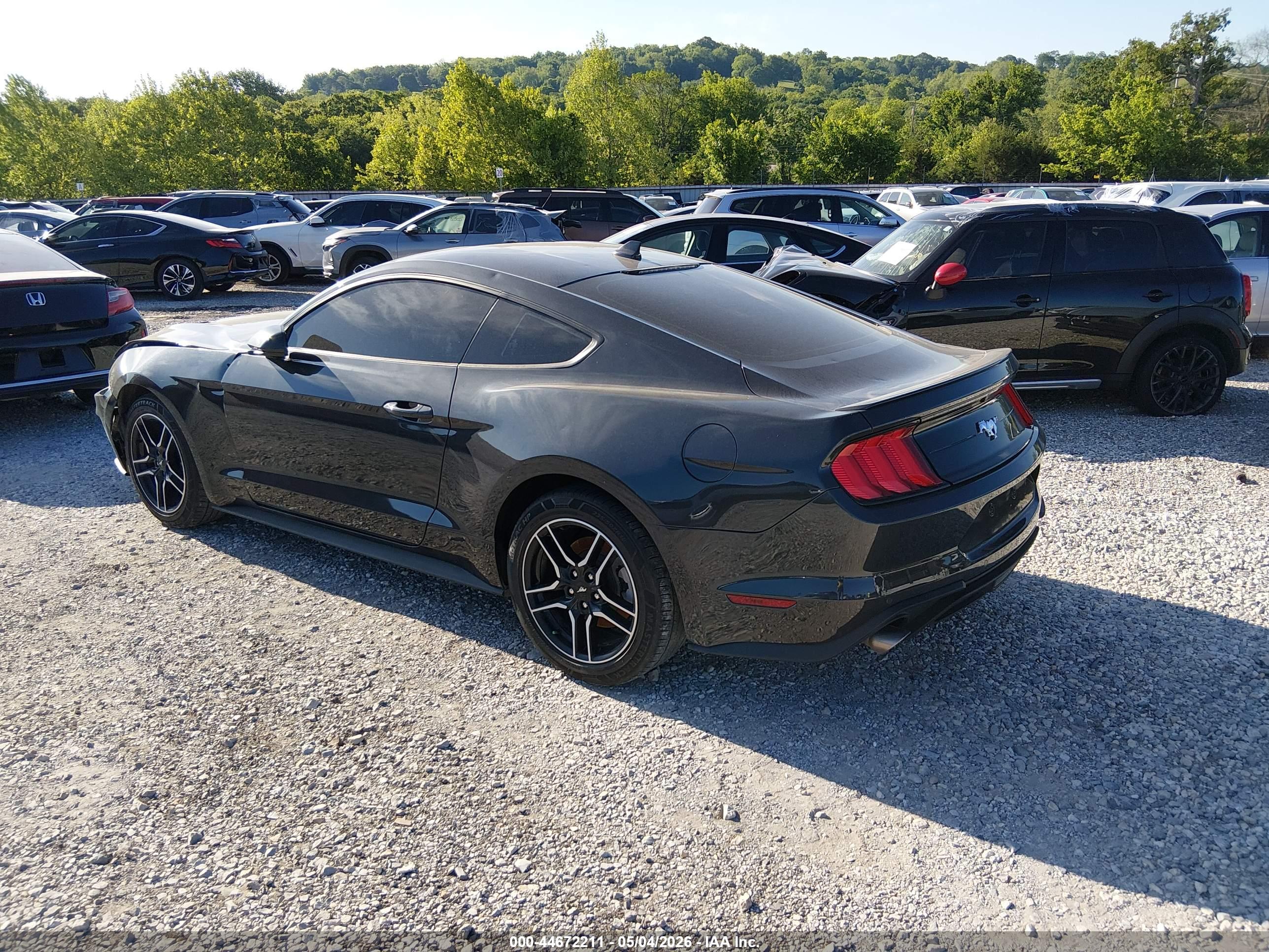 FORD MUSTANG image 3