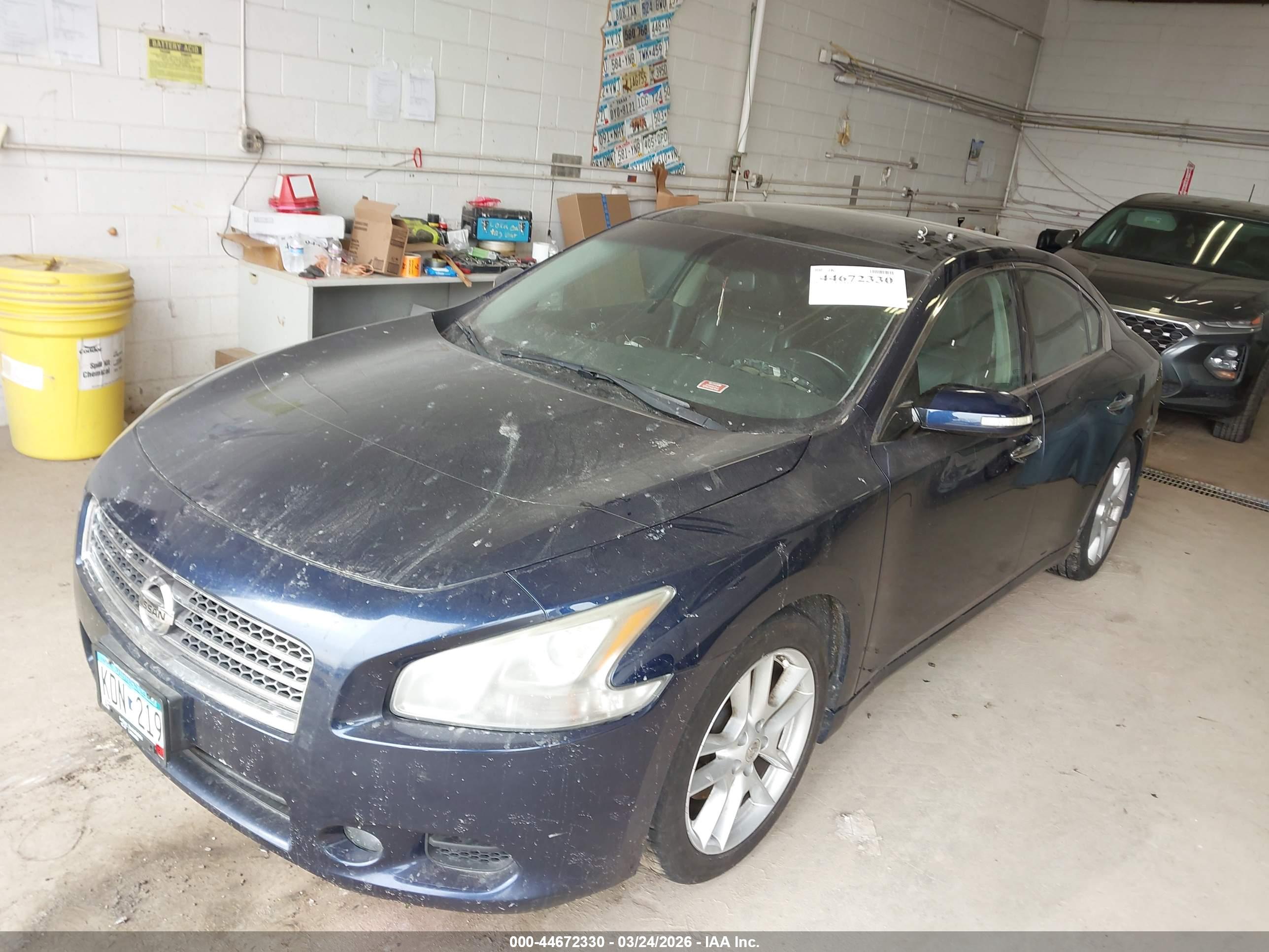 NISSAN MAXIMA image 2