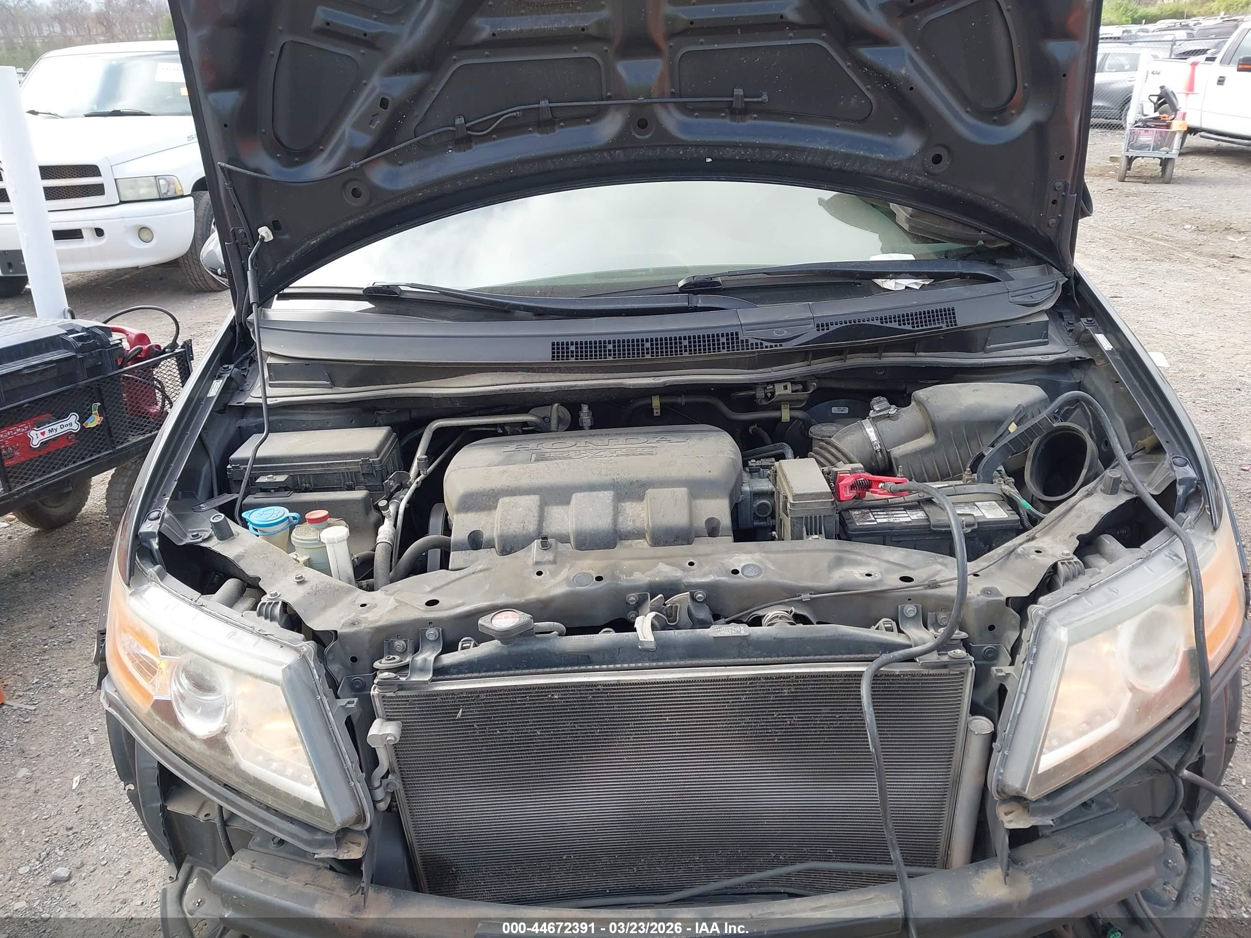 HONDA ODYSSEY image 10
