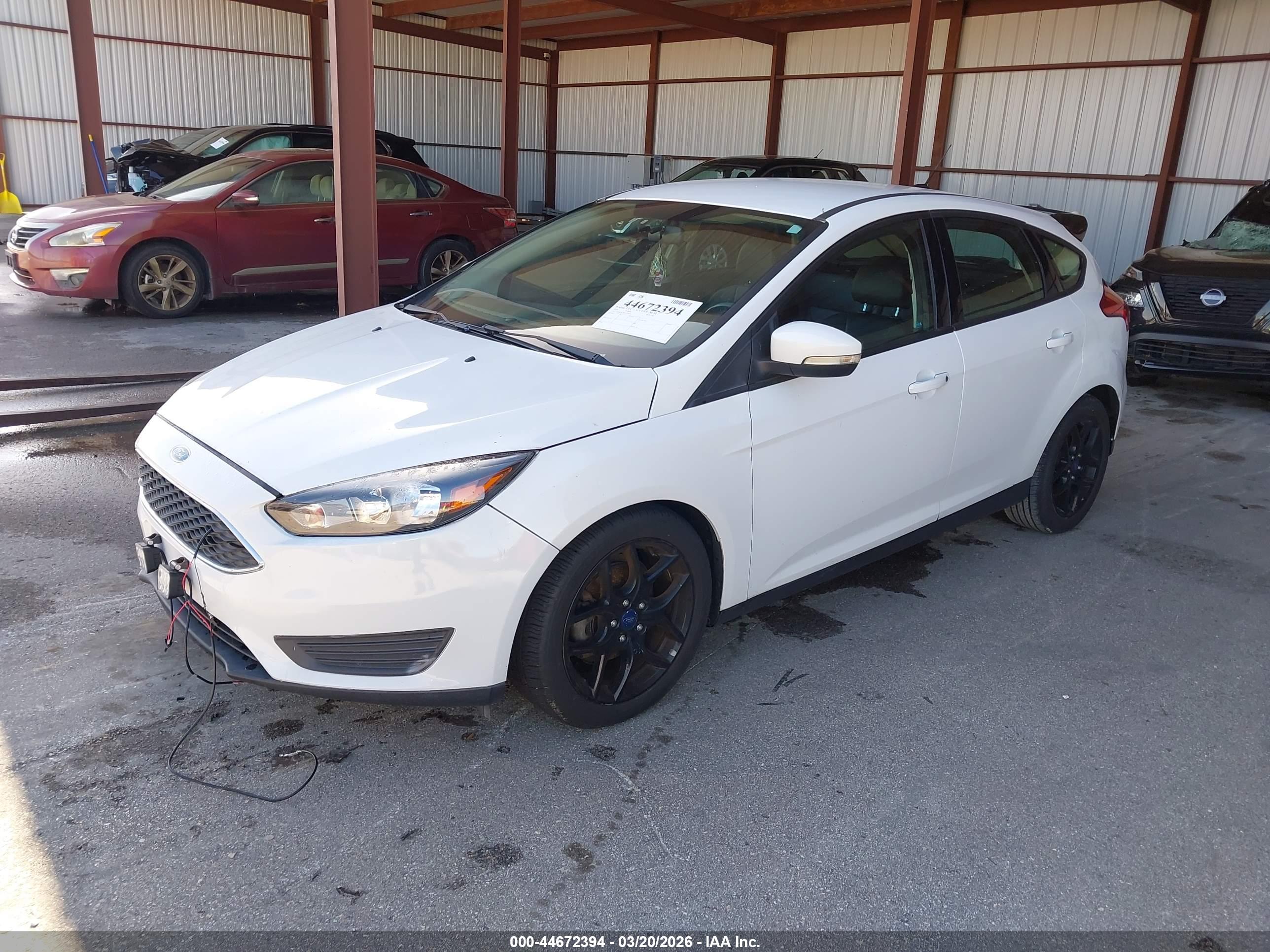 FORD FOCUS image 2