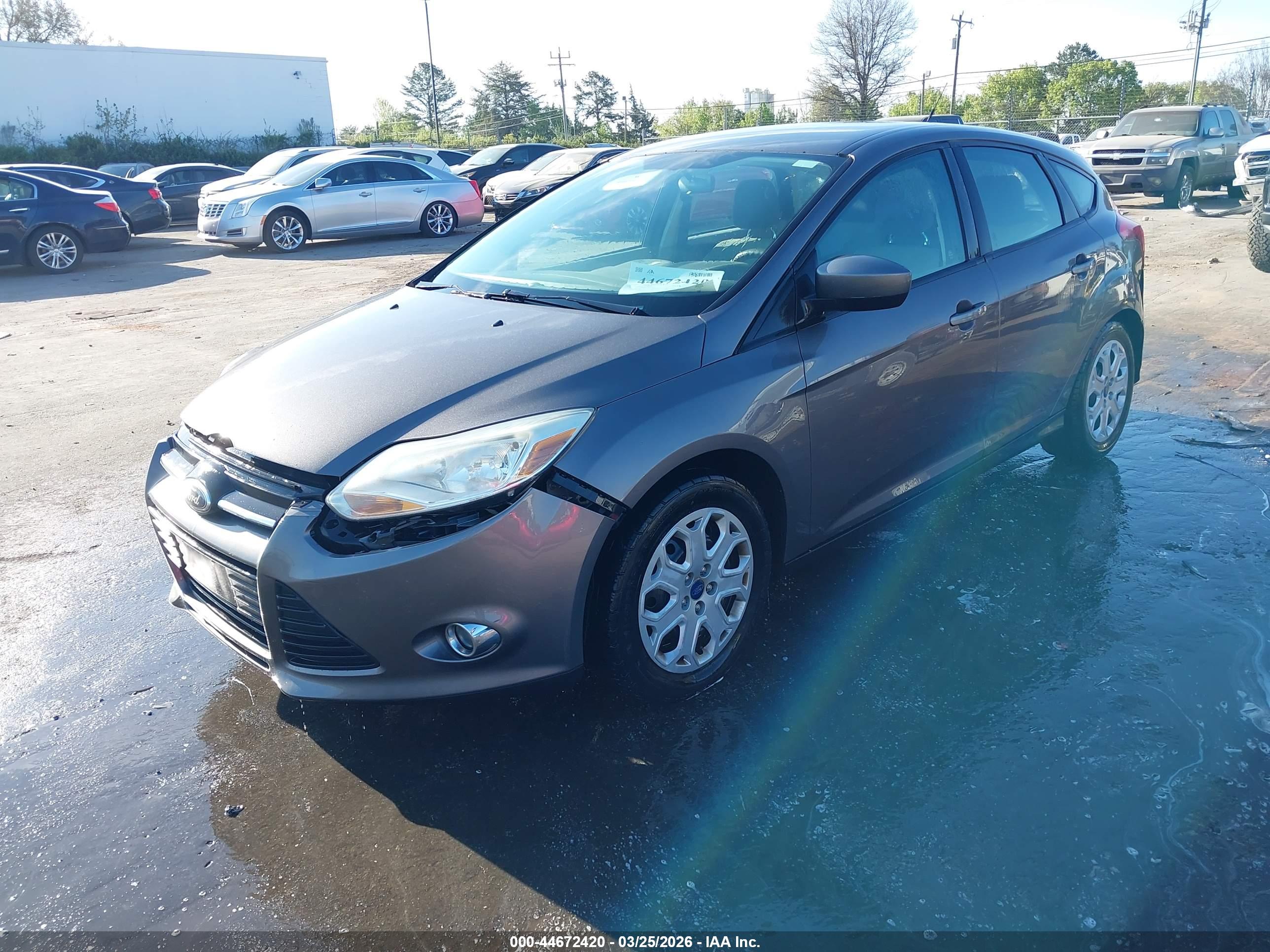 FORD FOCUS image 2